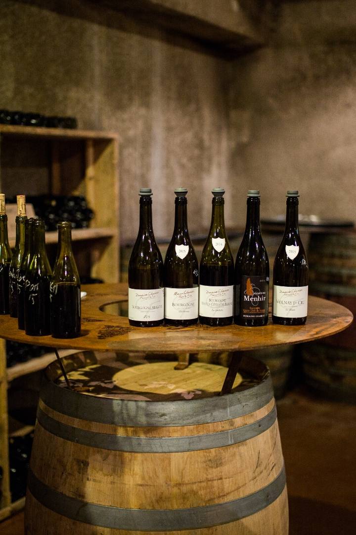 Enter to the cellar family for a wine tasting