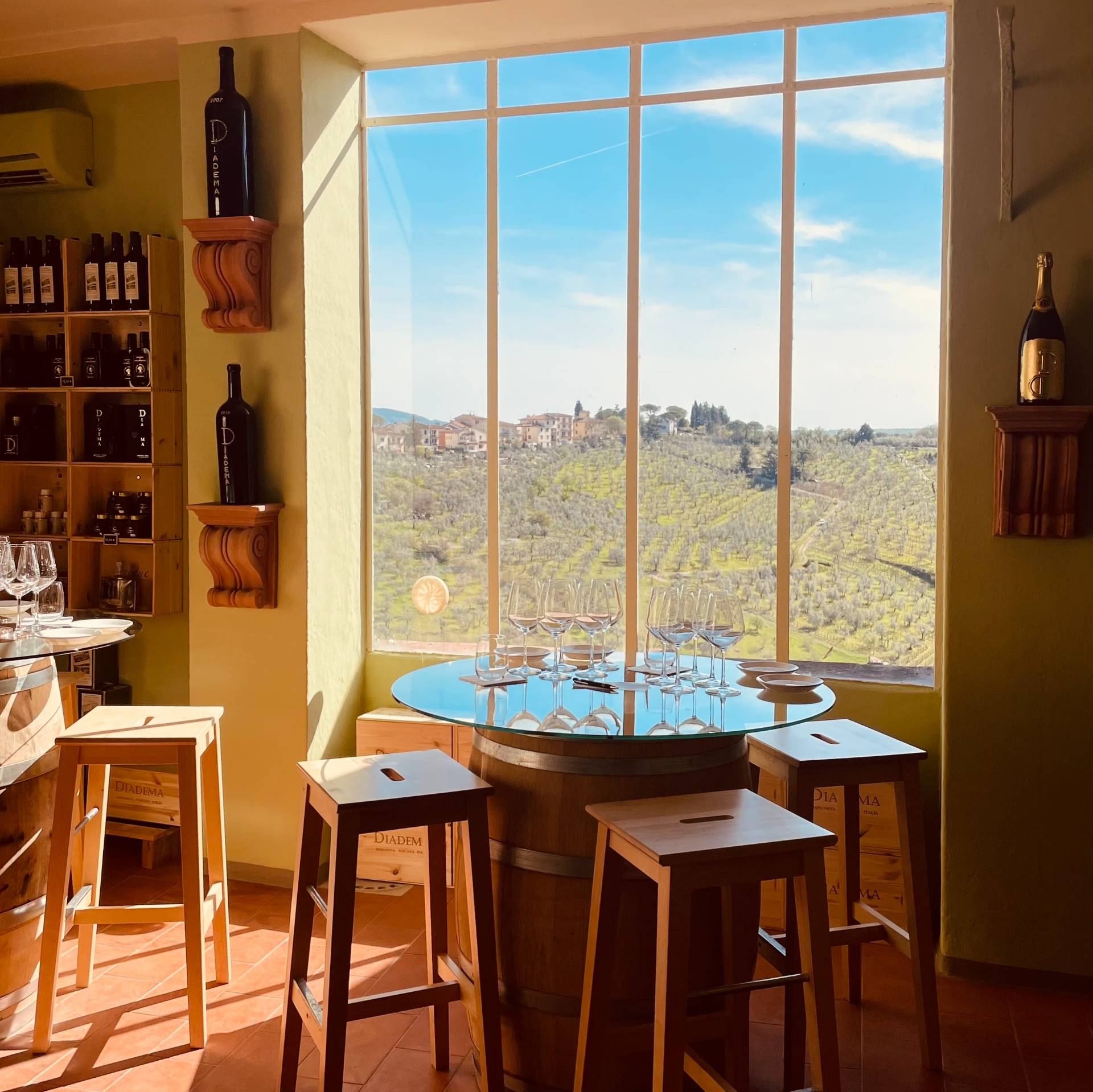 Diadema Supertuscan Experience in Chianti Florence