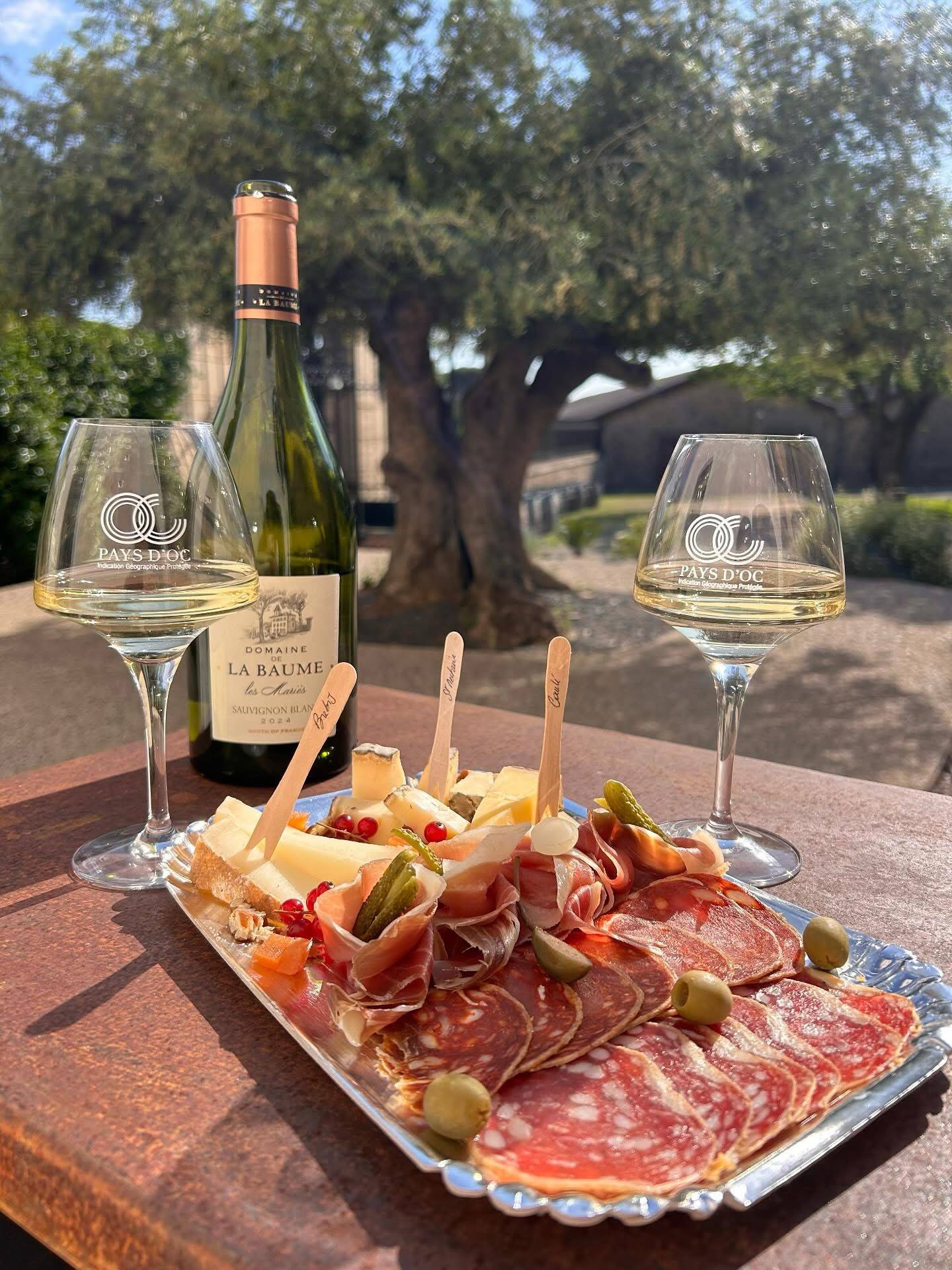 Wine Tasting Tour: In the heart of Languedoc