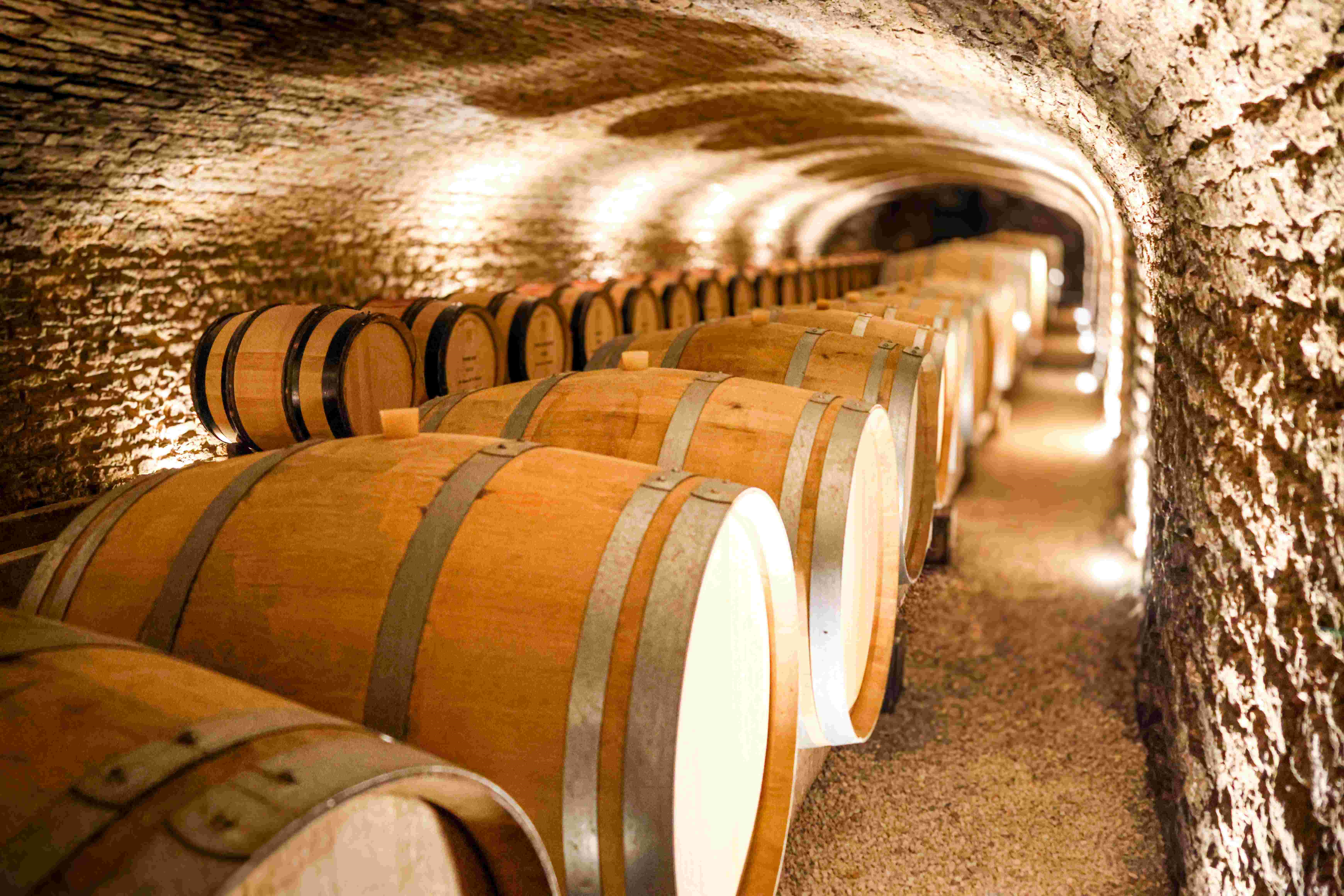 Grands Crus Experience