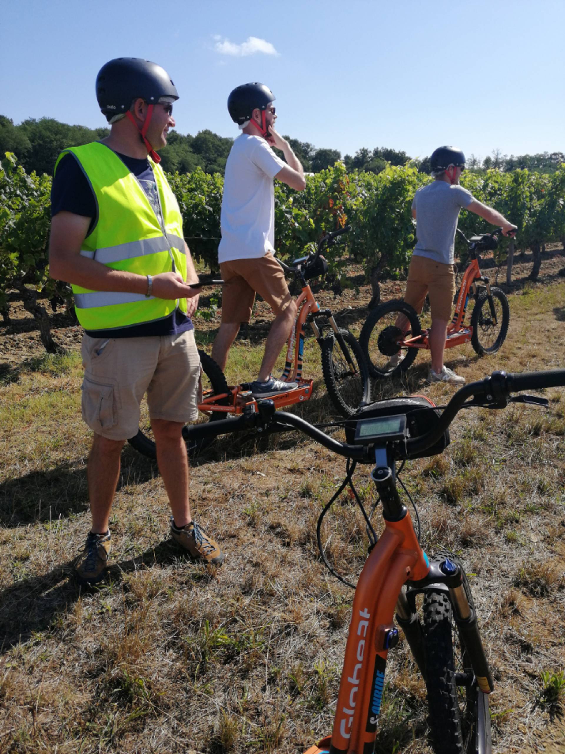 Scooter in the heart of the vineyards + Cellar visit