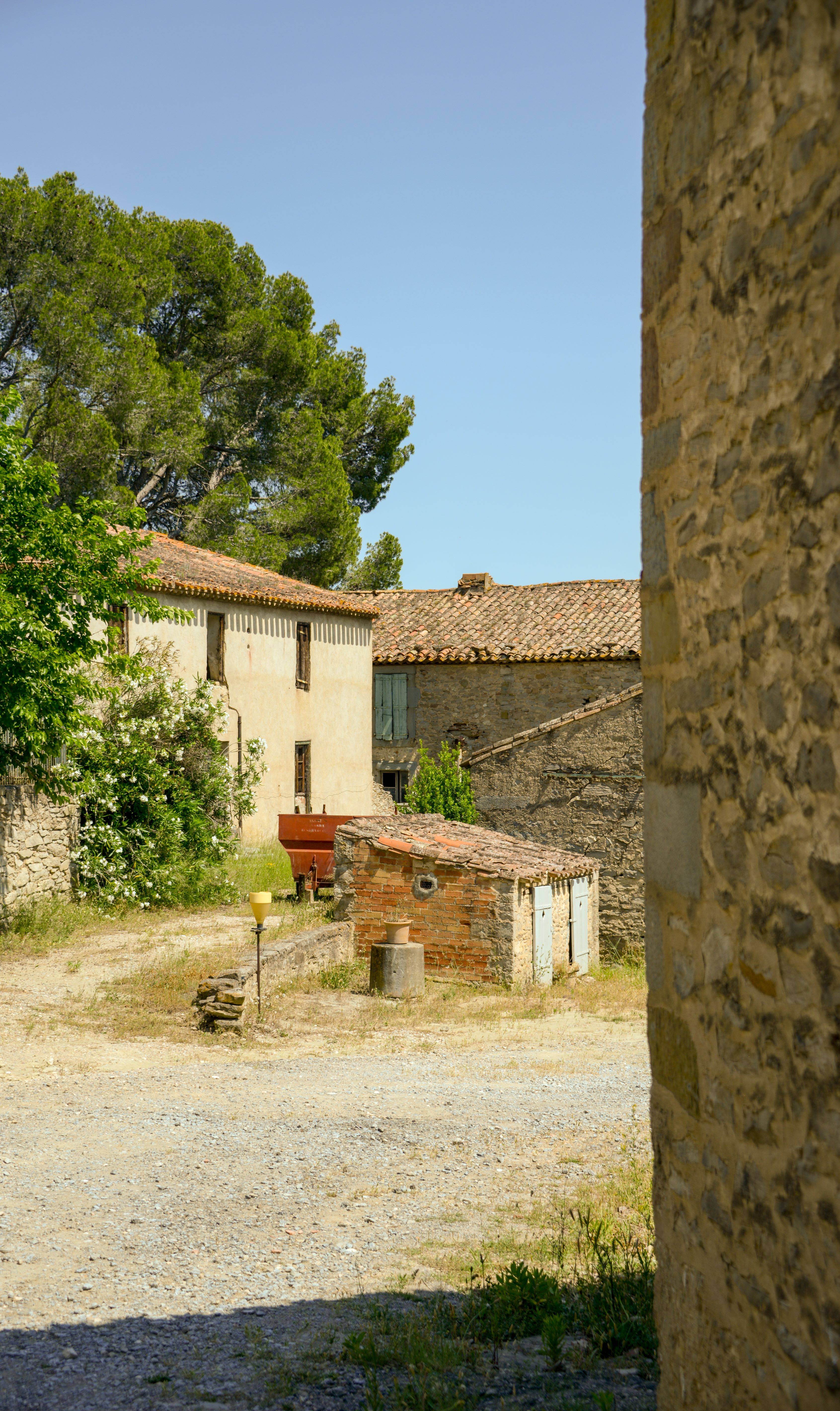 Vitiforestry and history tour – private tour