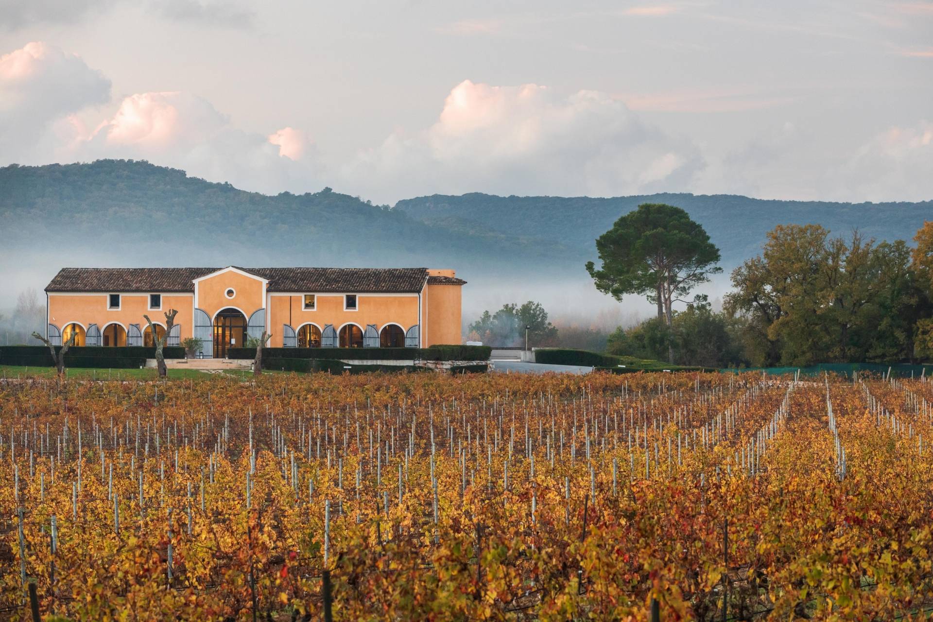 CHÂTEAU SAINT-MAUR CRU CLASSÉ