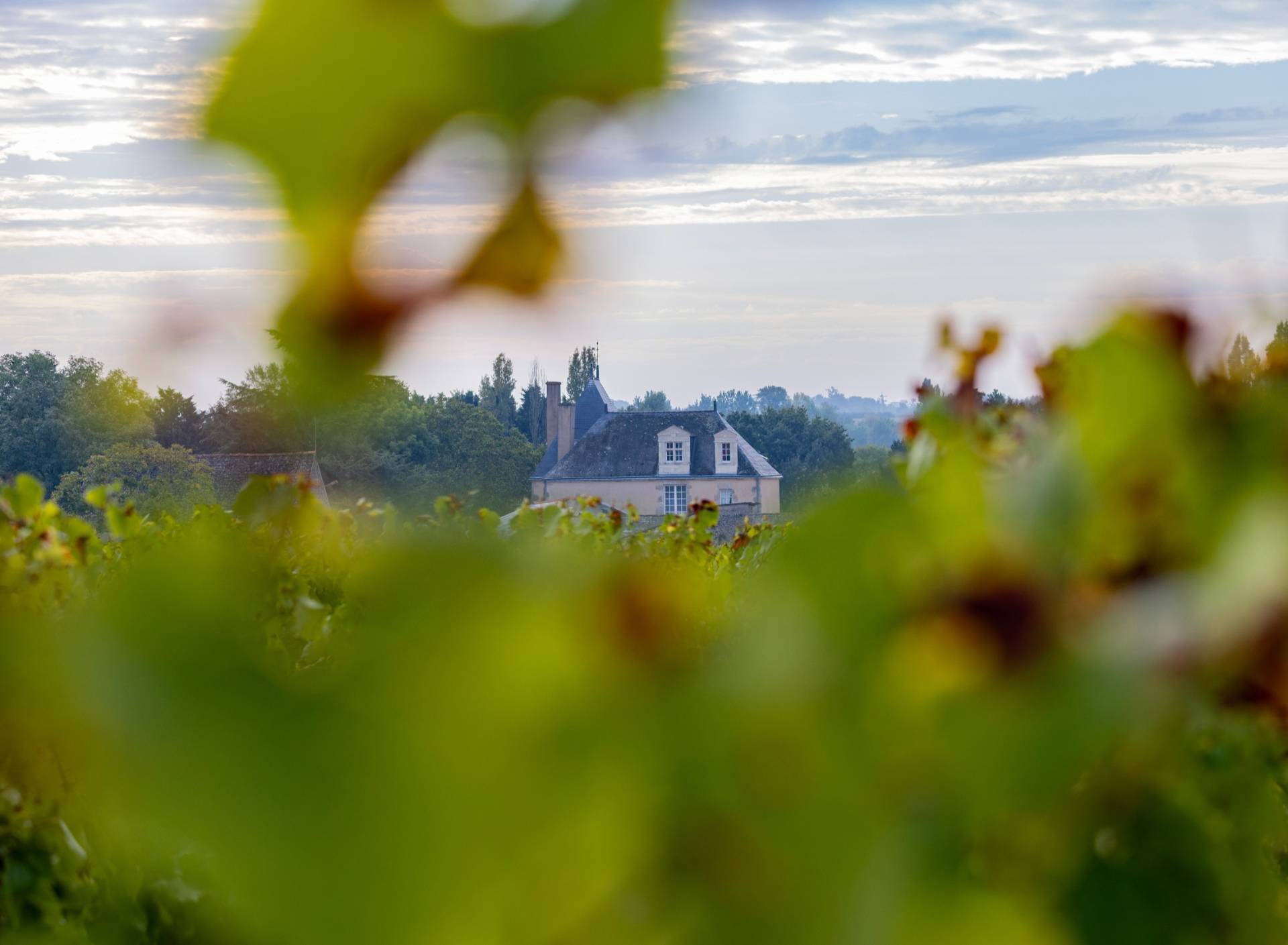 CHÂTEAU DE LA CALONNIERE