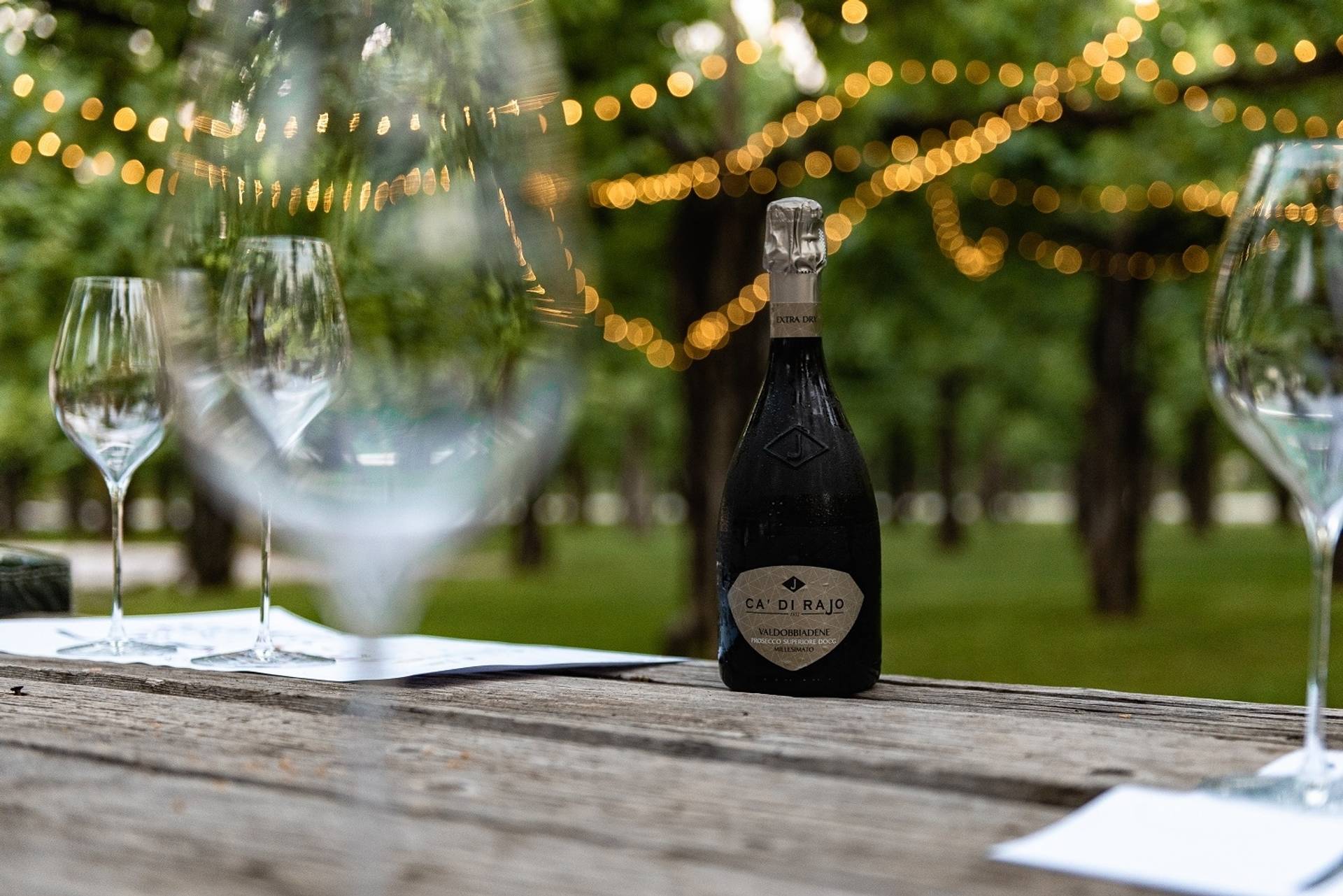 Bellussera Wine Tour