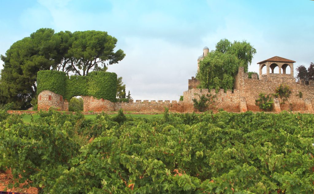Visit to the winery with cava tasting