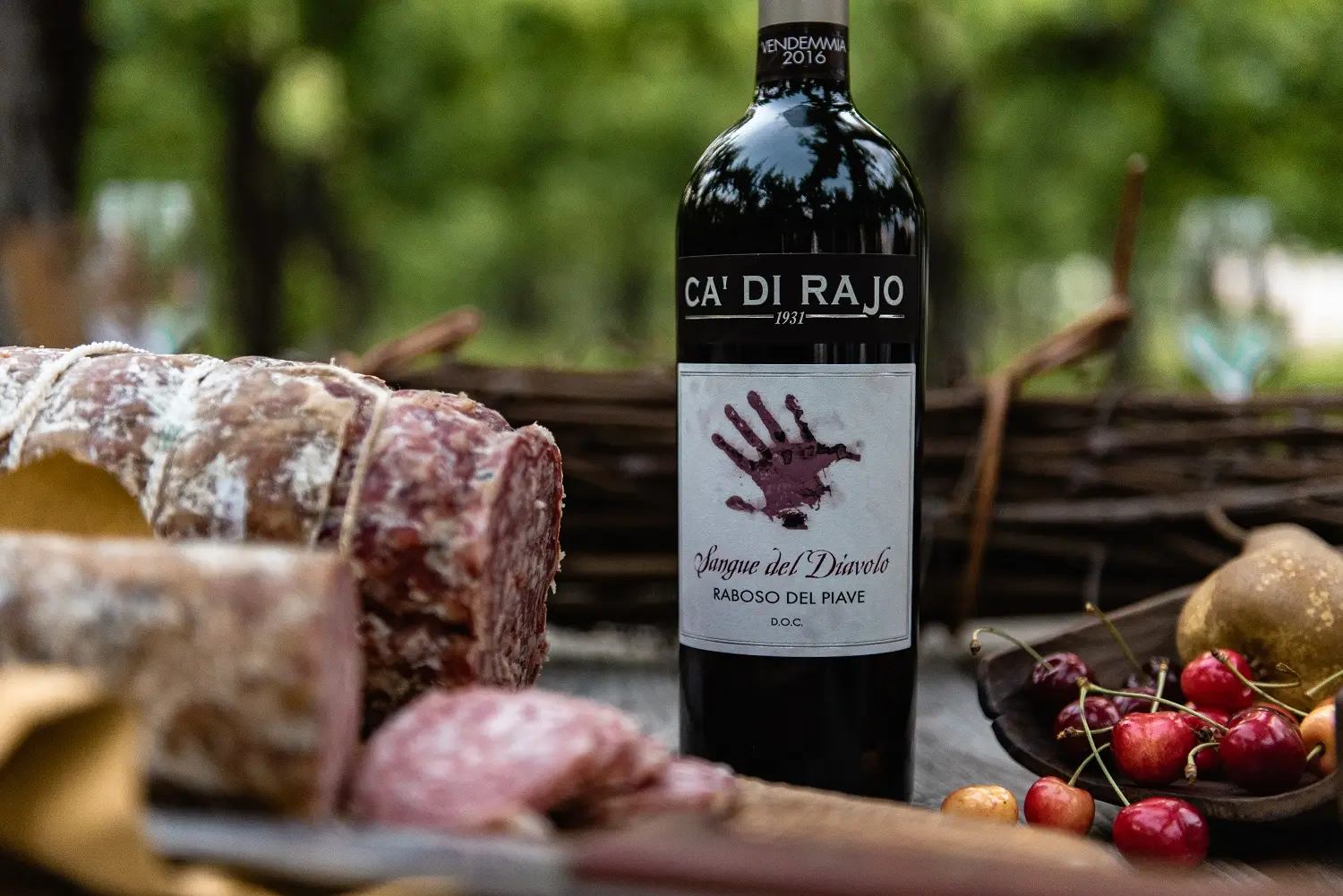 Bellussera Wine Tour