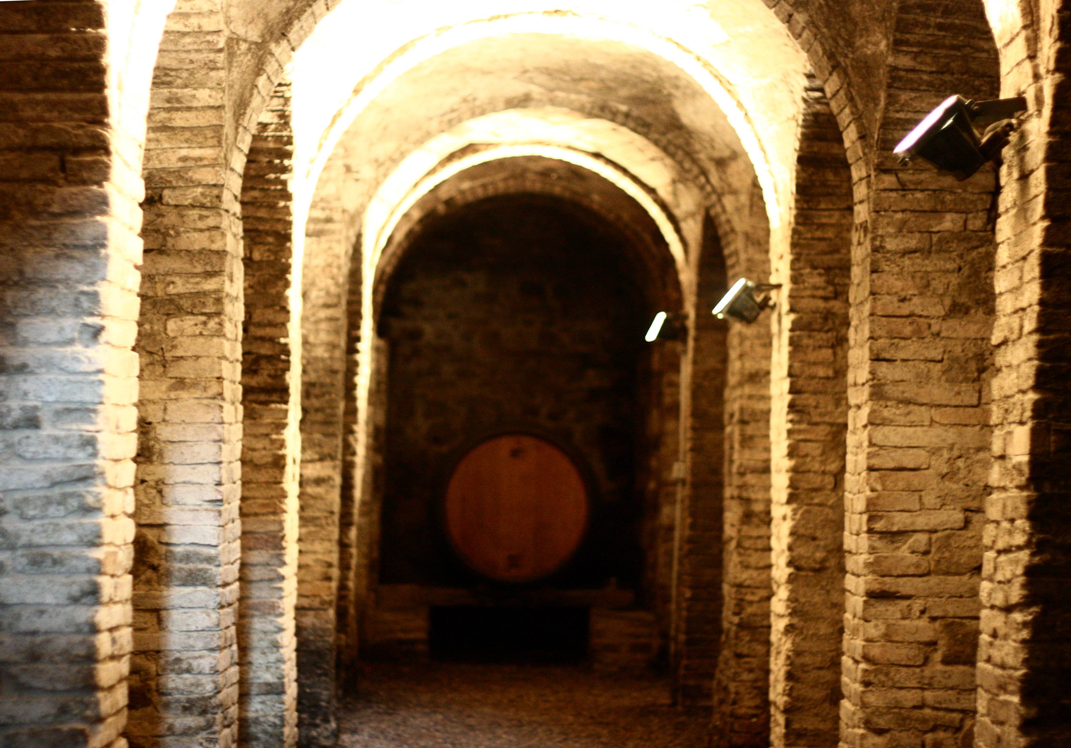 Experience – Tasting of 3 wines