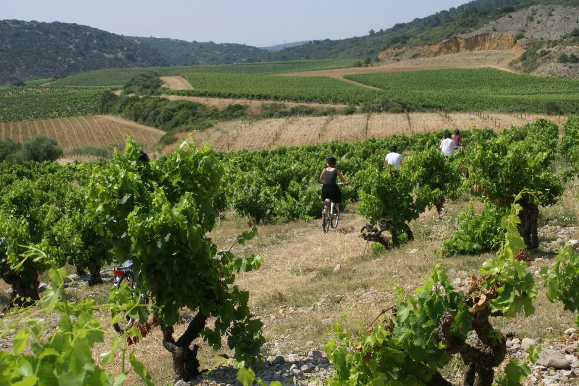 Electric mountain bike tour through the vineyards