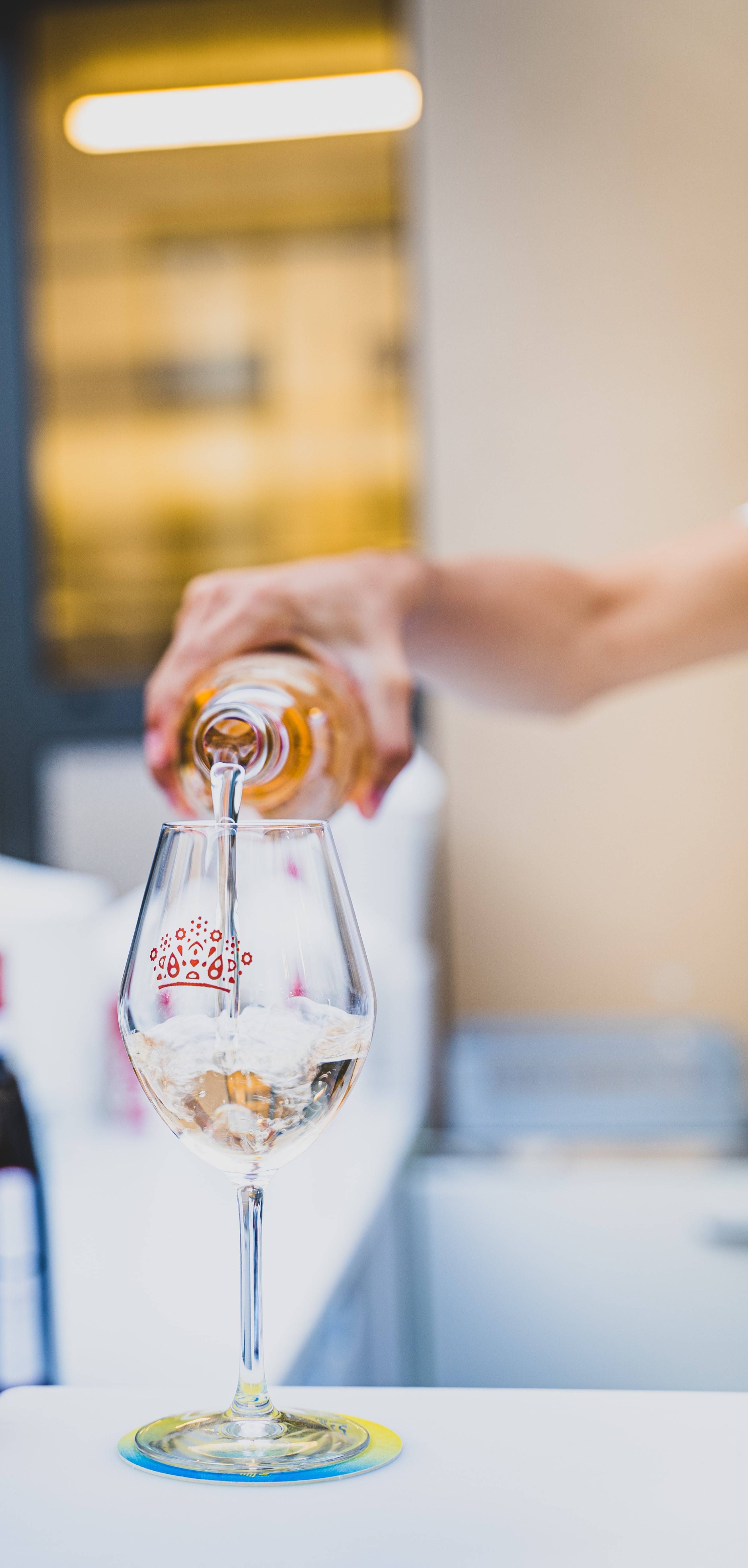 Tasting of 3 wines from the Torpez range