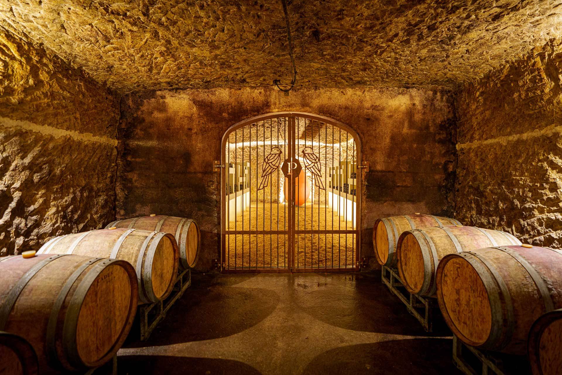 Guided tour, tasting and pairings