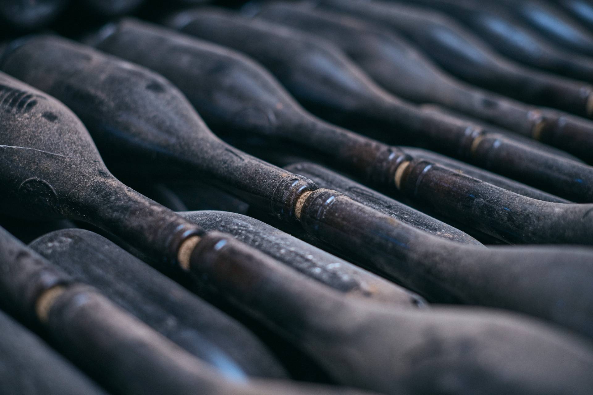 The evolution of a family