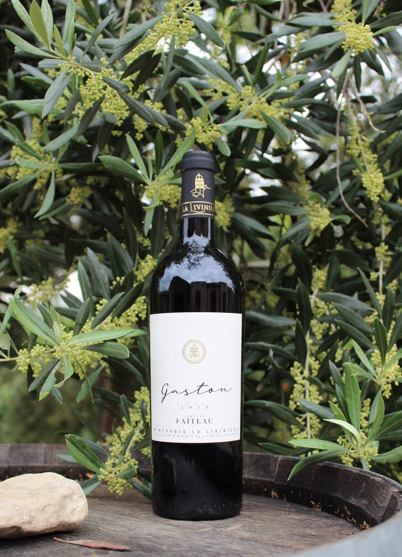 Tasting of our cuvées