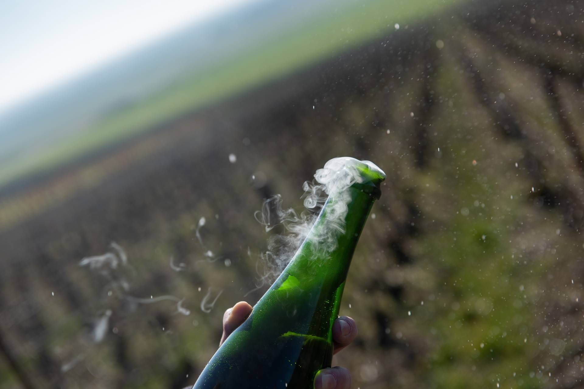Make your own Champagne: Disgorgement Experience
