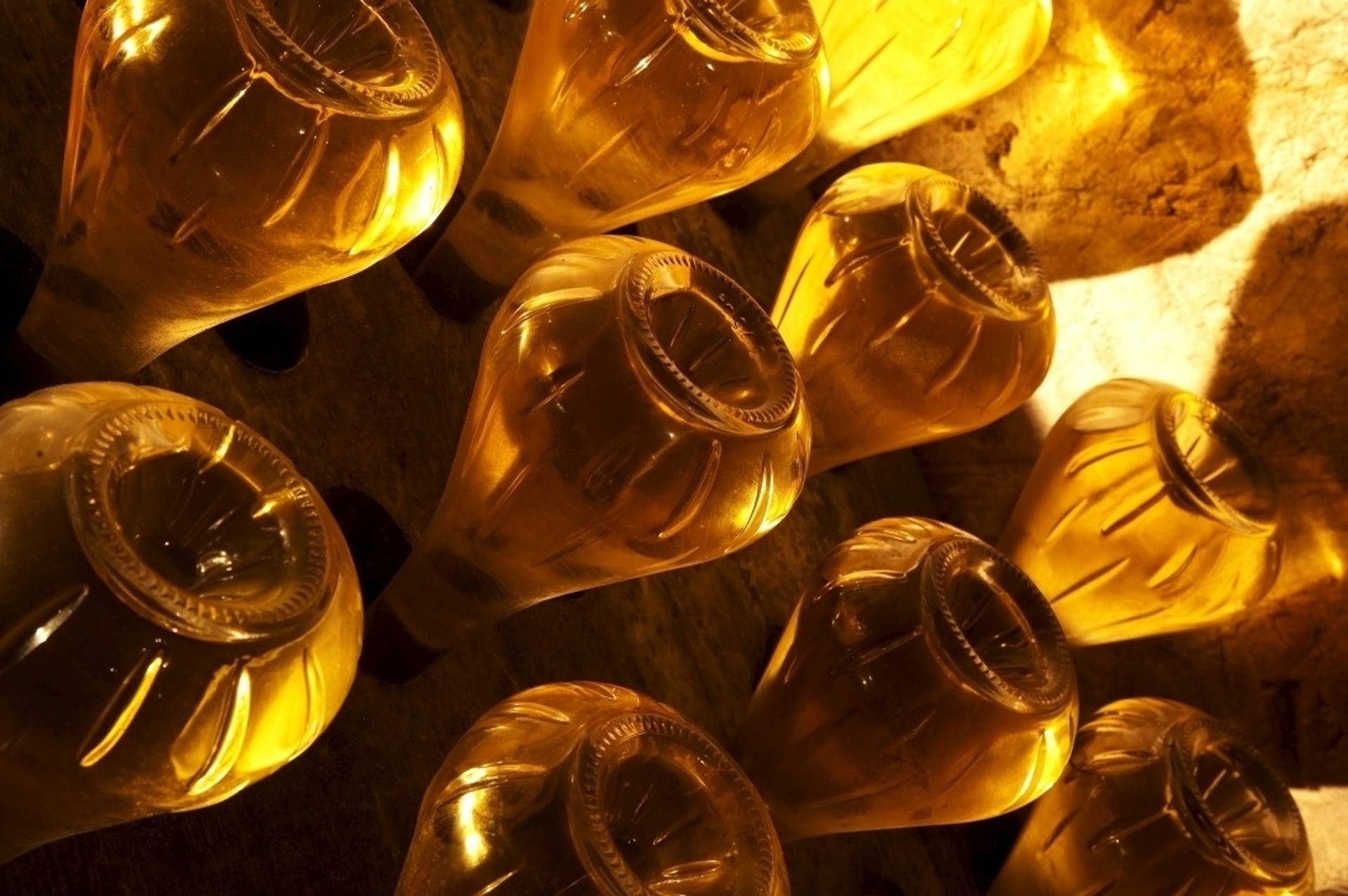 Visit and Tasting of 2 Vintage Champagnes