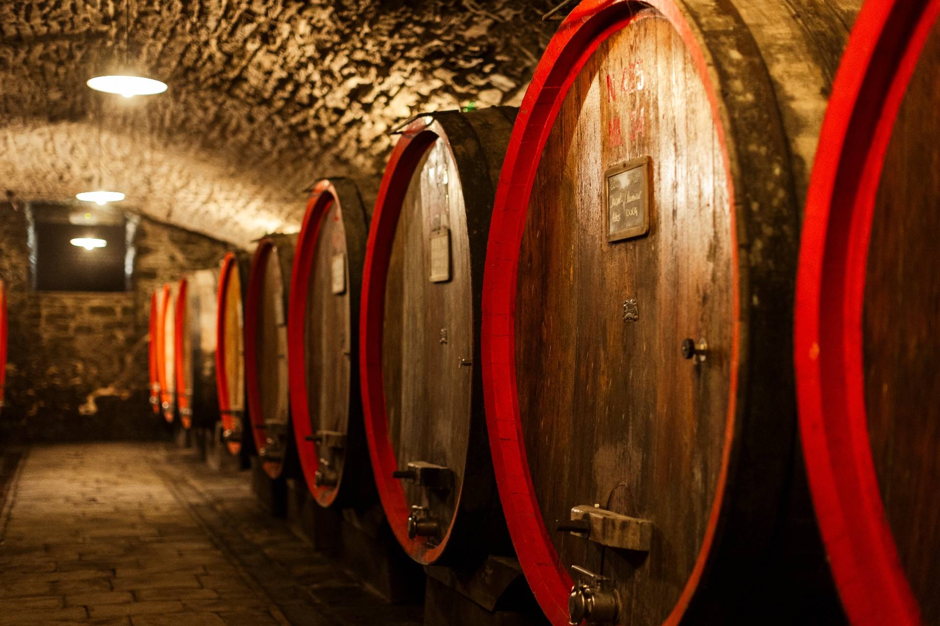 Premium Tour and Tasting