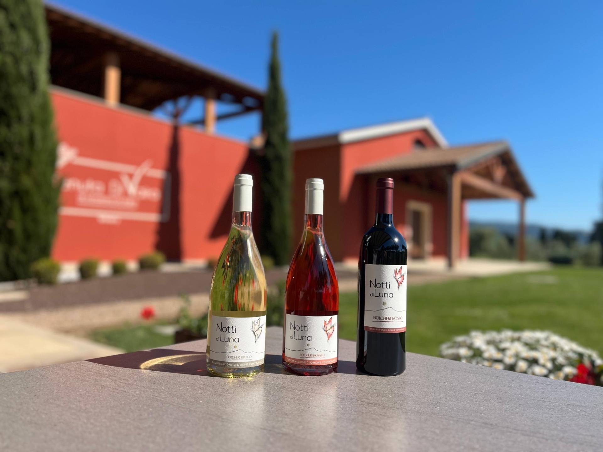 The Visit and Tasting Selections