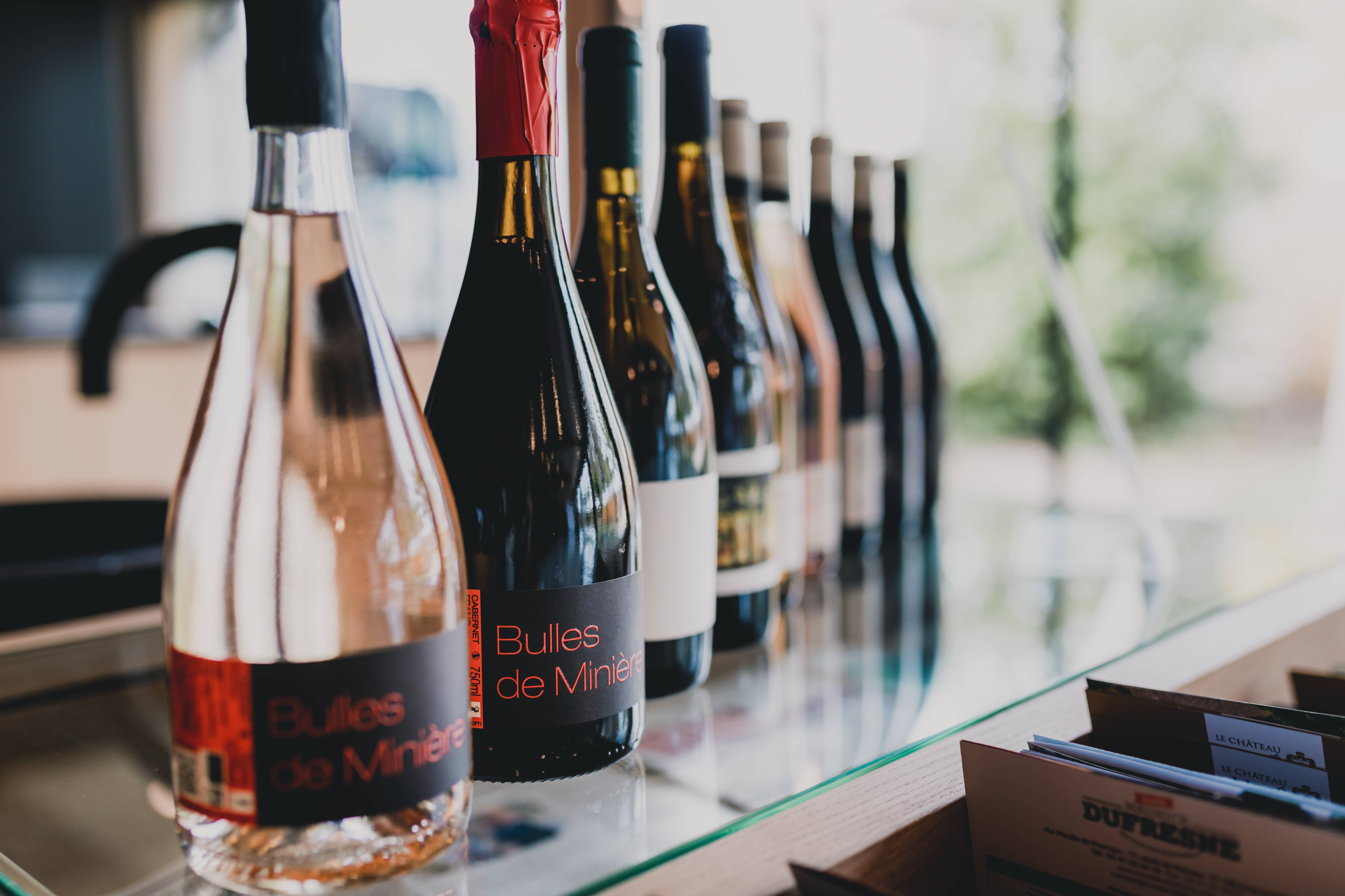 Wine tasting in the cellar