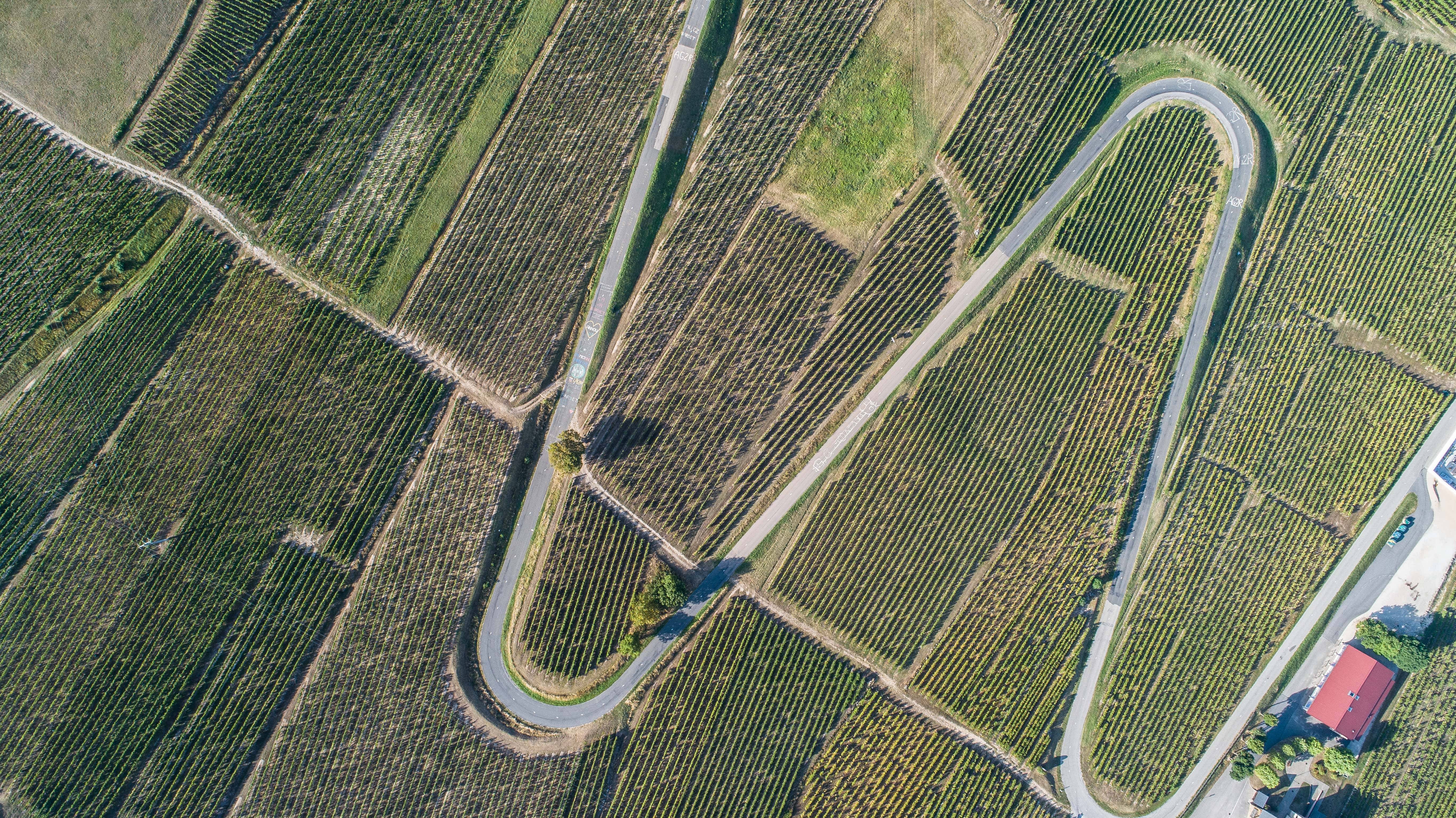 “Eternal” Tasting