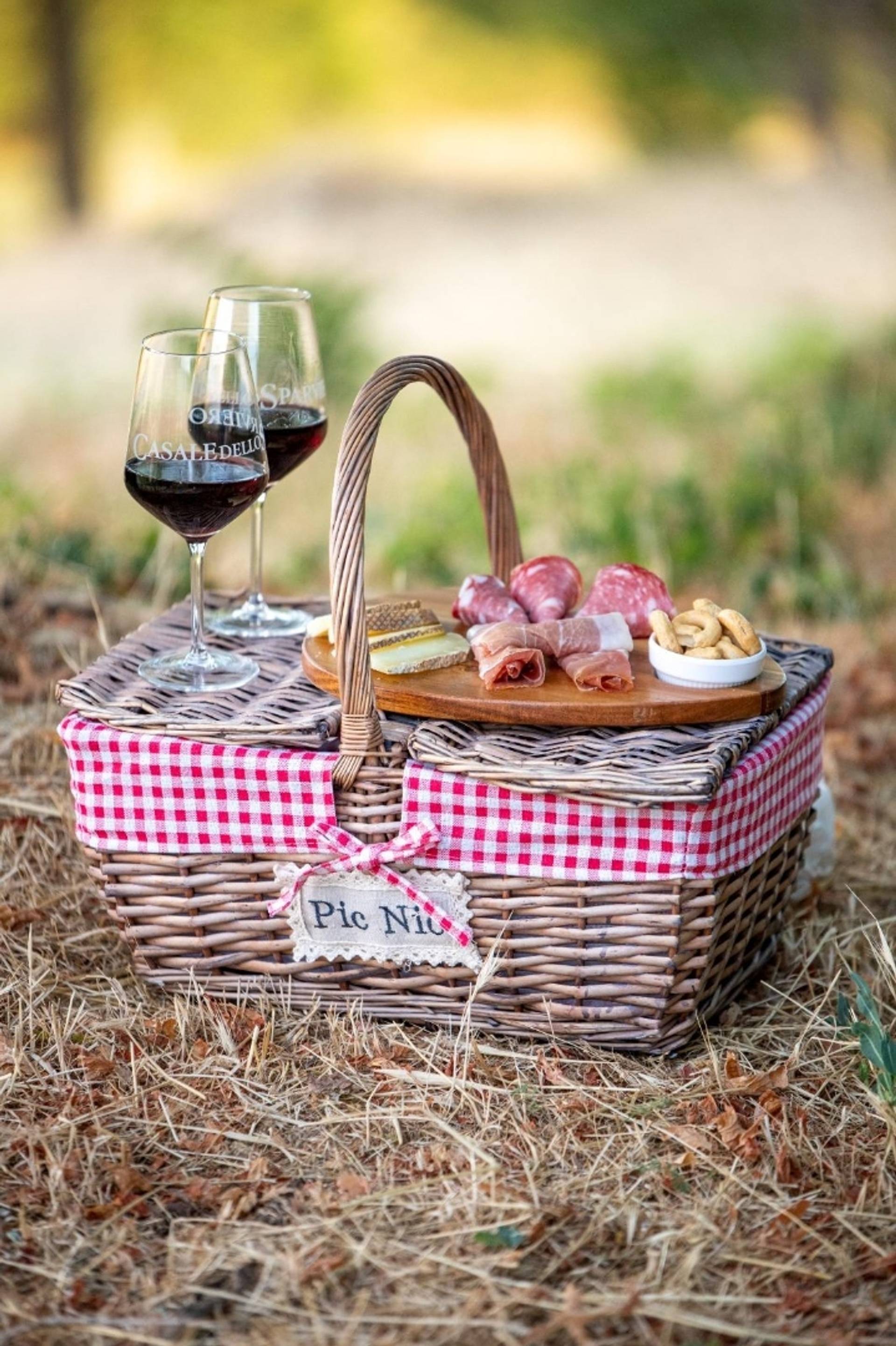 Picnic & Vineyard
