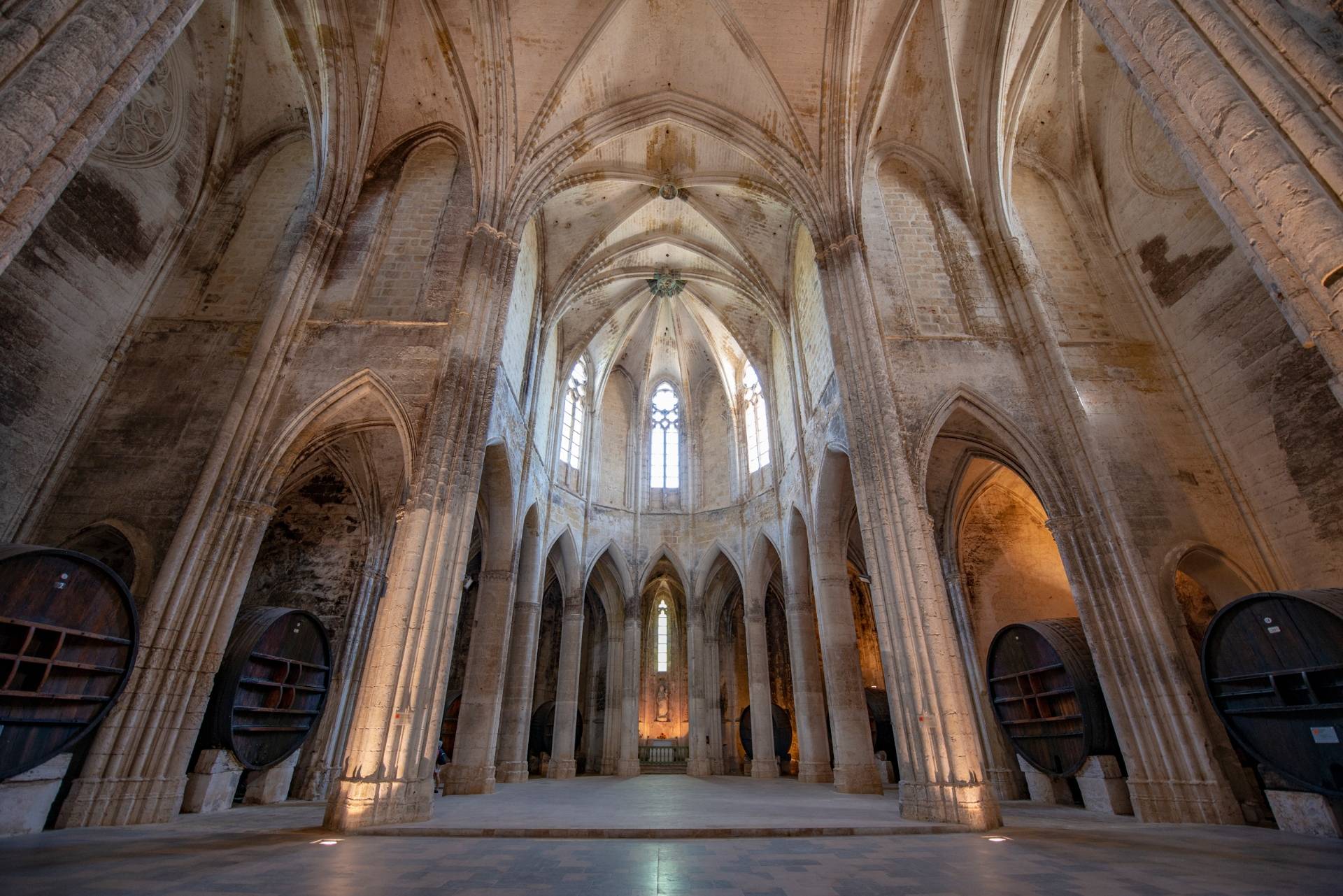 Guided tour of the Abbey and discovery of the wines