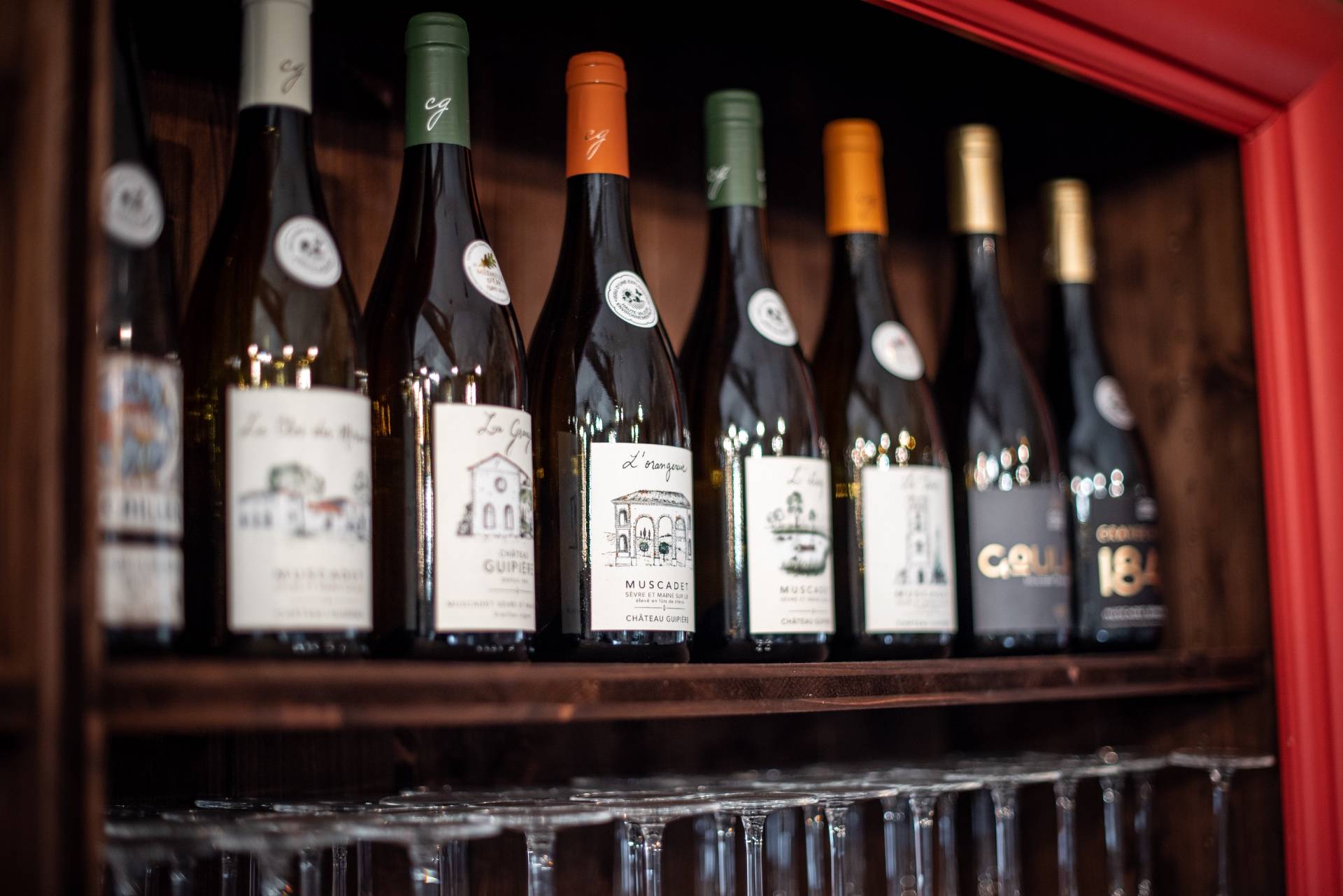 Wine tasting at the cellar door