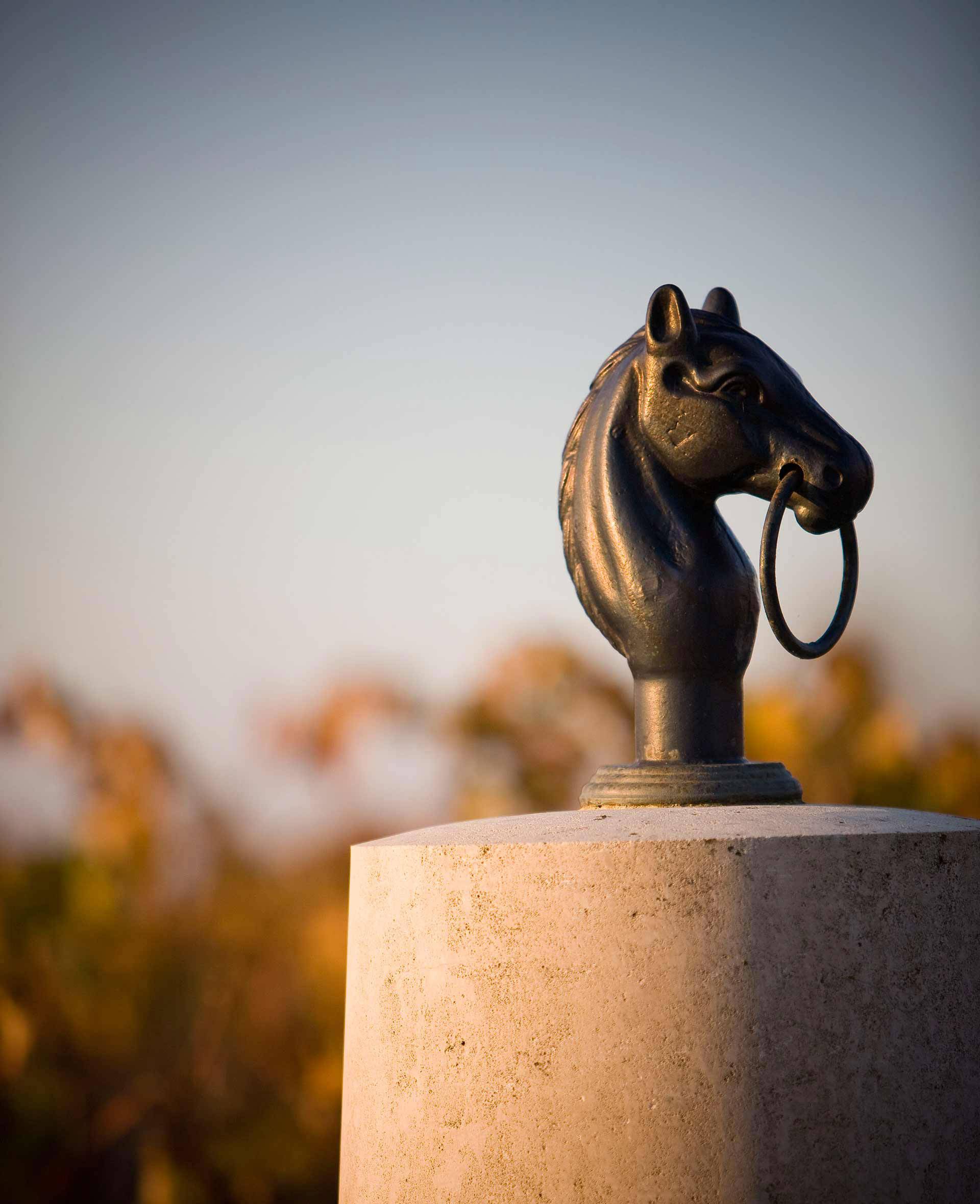Visit, tasting and horse museum