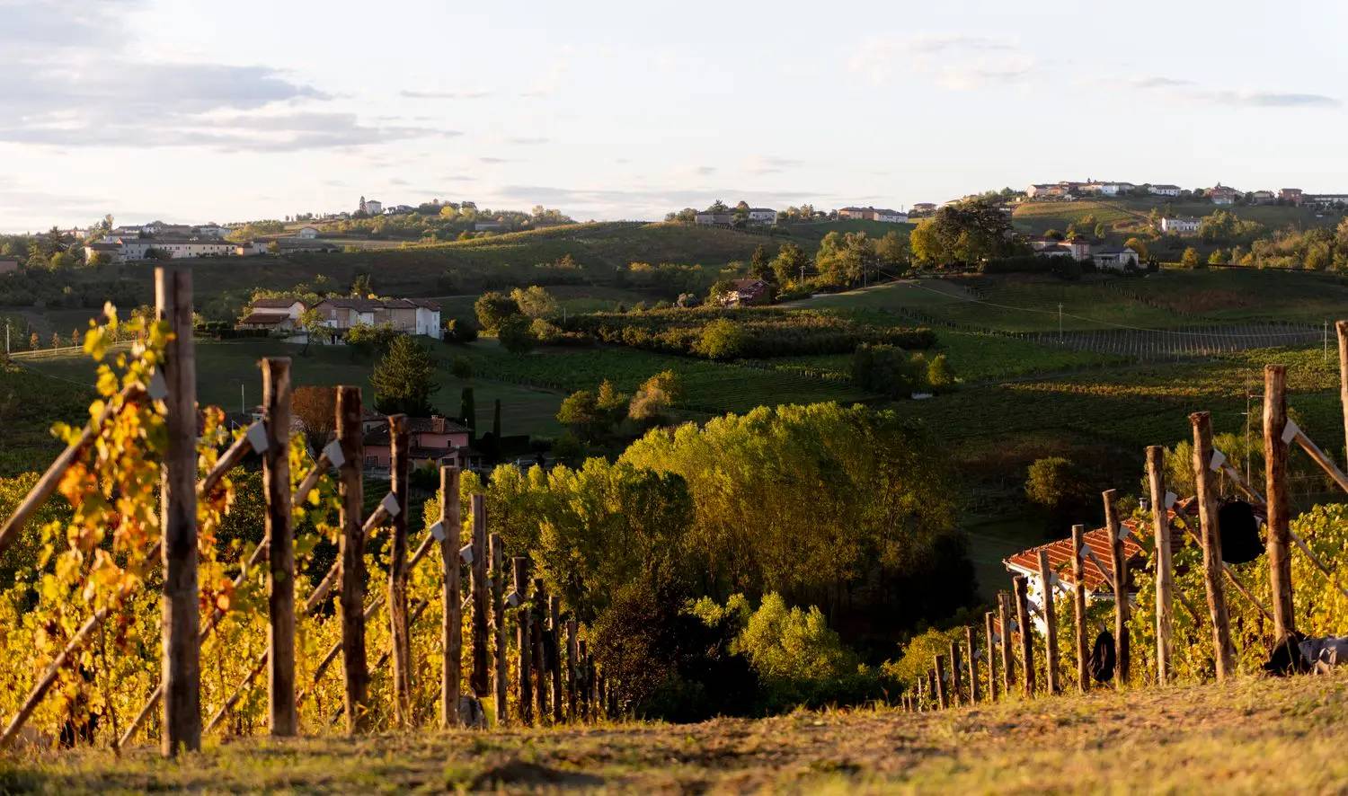 Cellar visit with full tasting