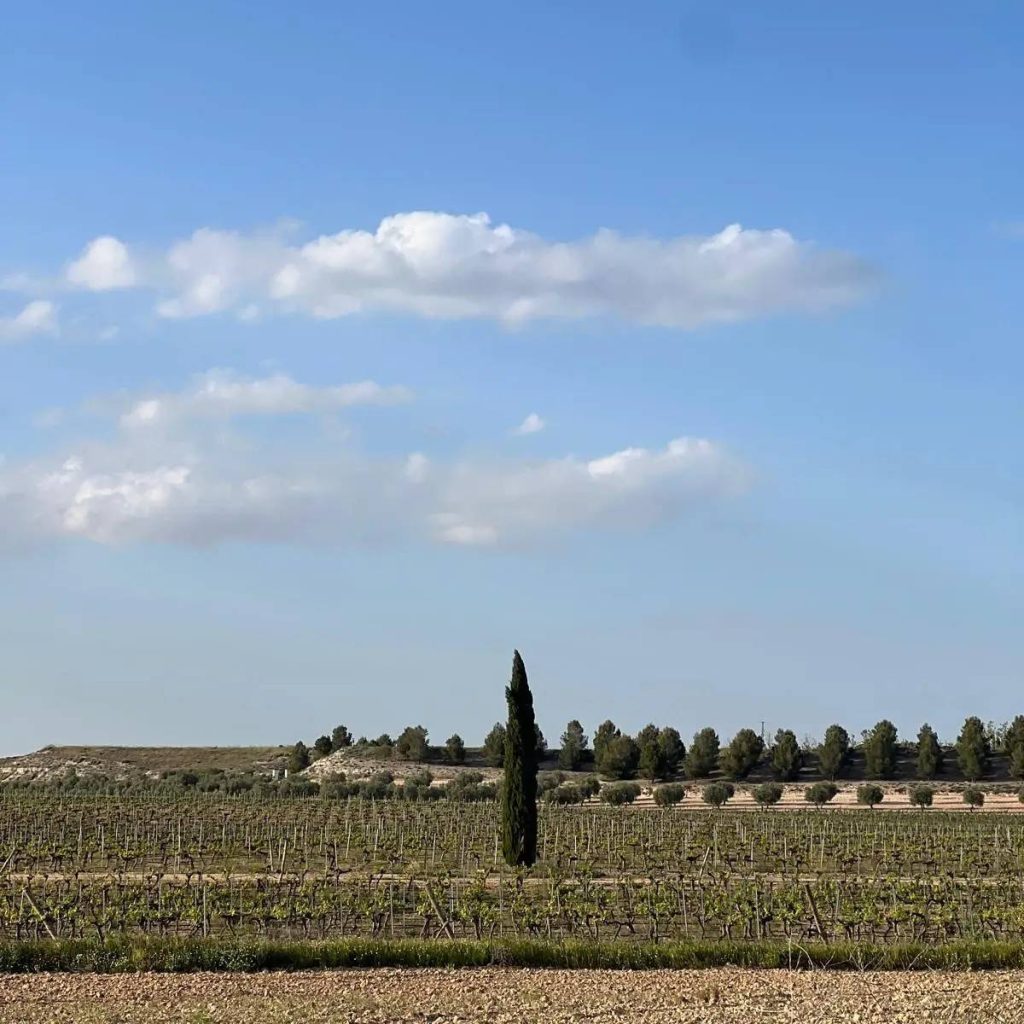 Private Tour of Single Estate Winery in Toledo