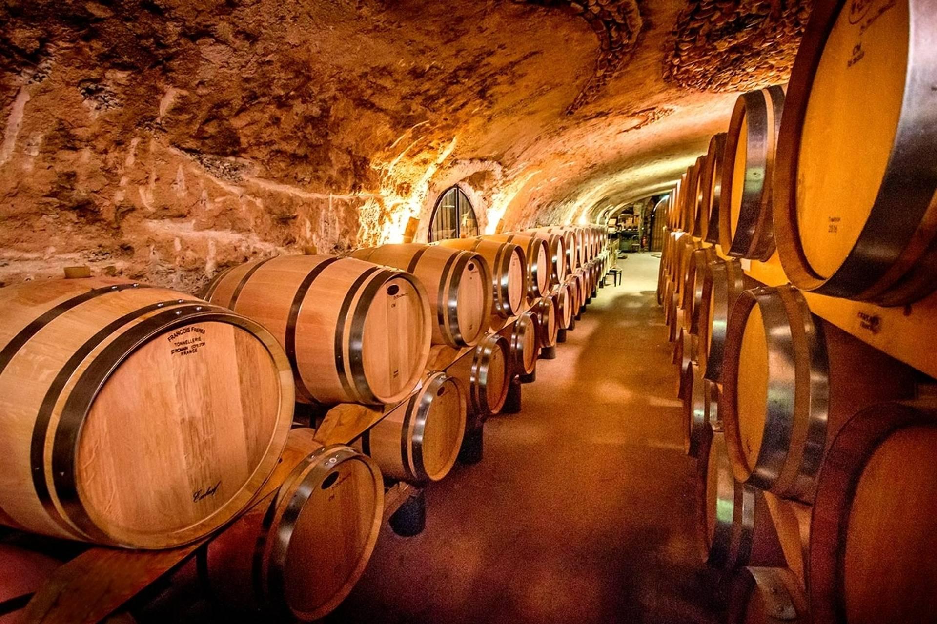 Visit our century-old cellars and taste our vintages