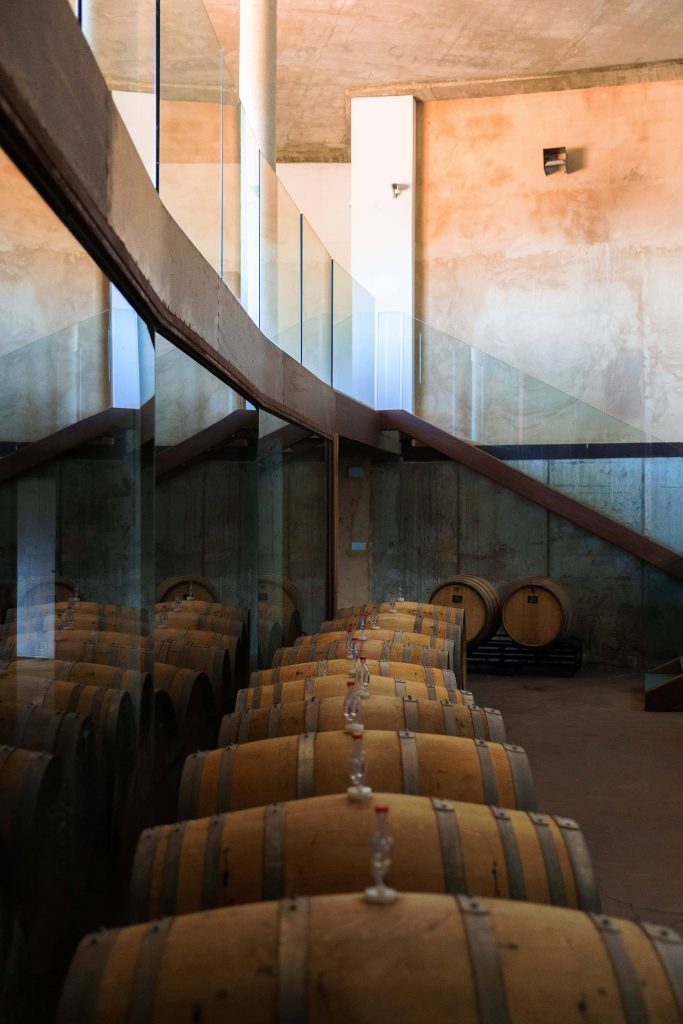 Visit Cámbrico winery