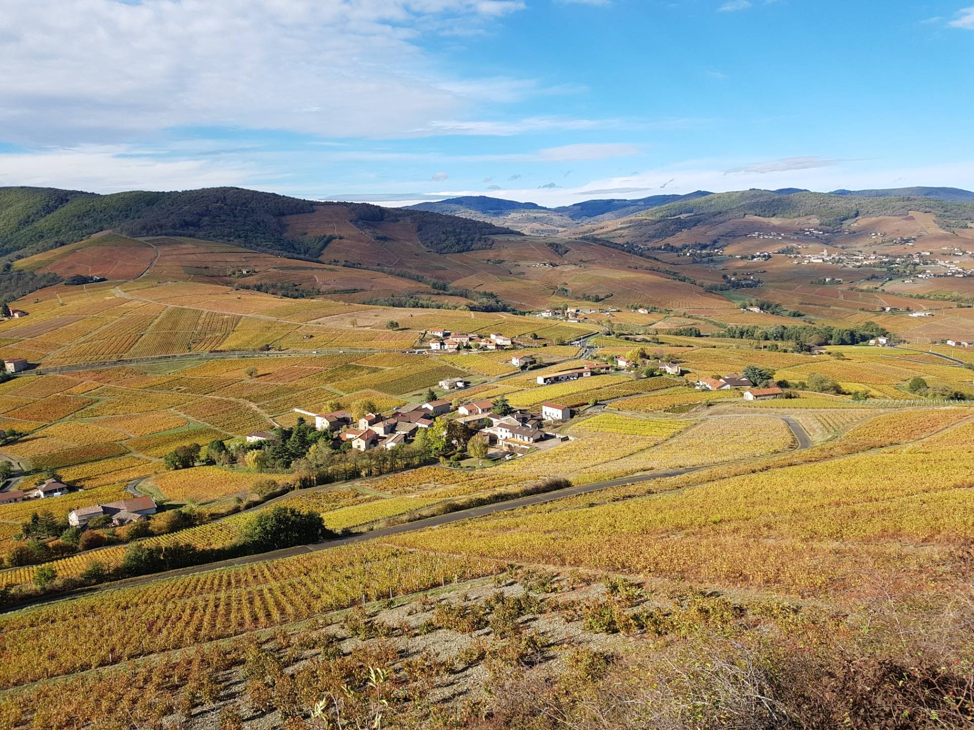 DOMAINE CHRISTOPHE SAVOYE