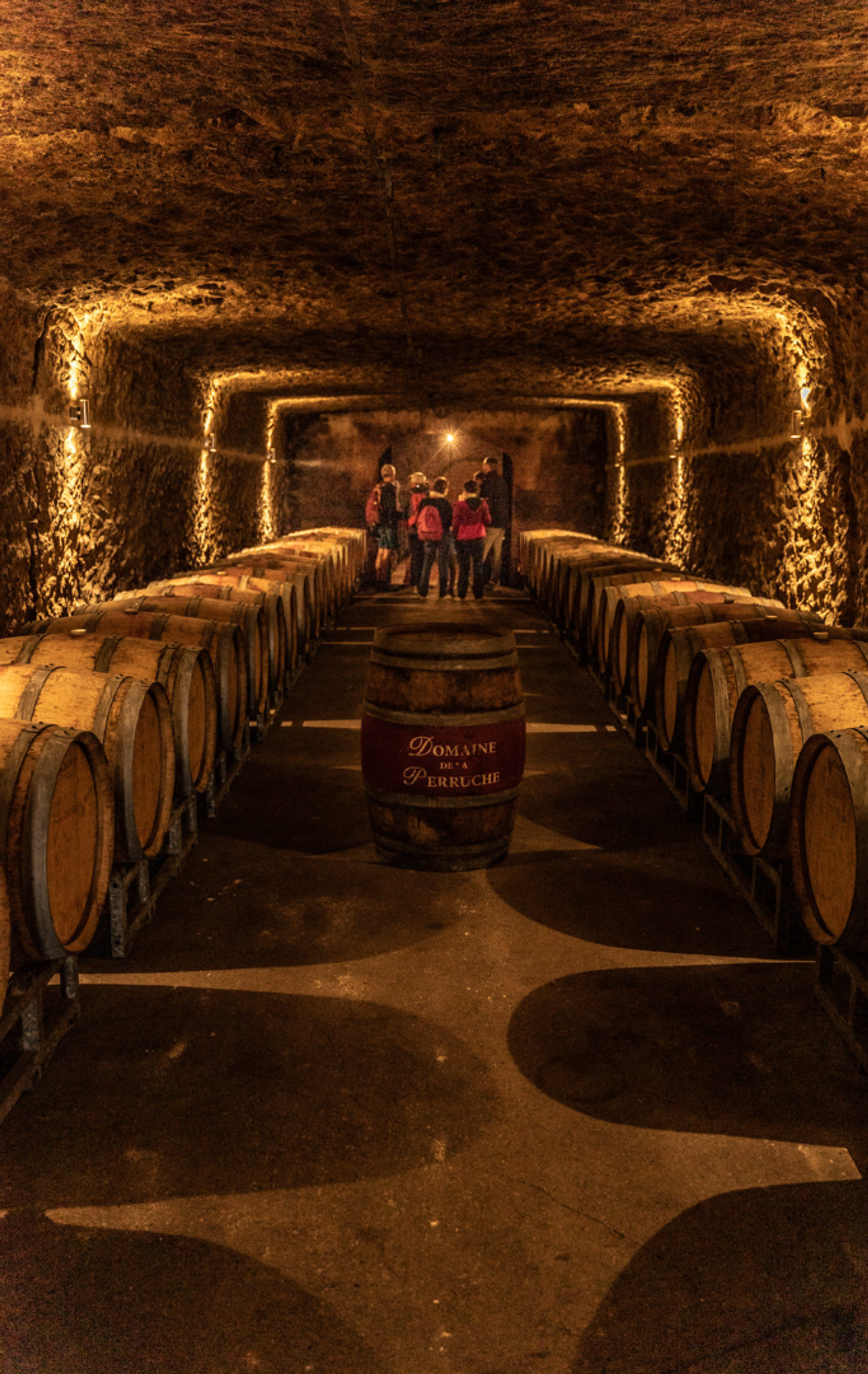 Guided tour, tasting and pairings