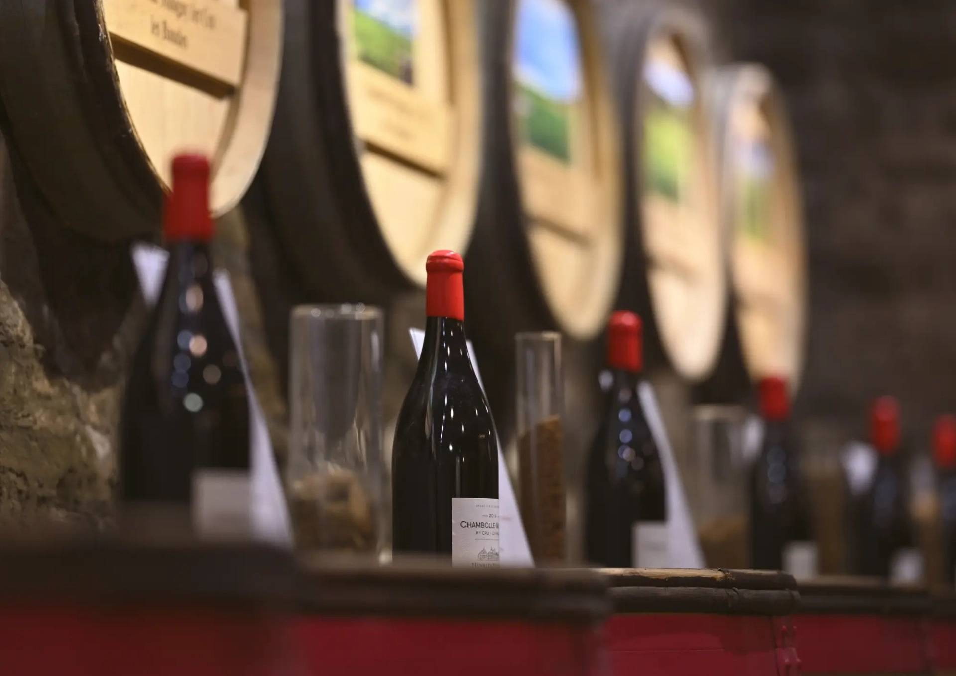 “Terroir” Visit & Tasting