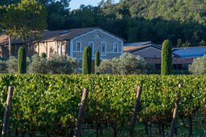 CHÂTEAU DE L’ESCARELLE