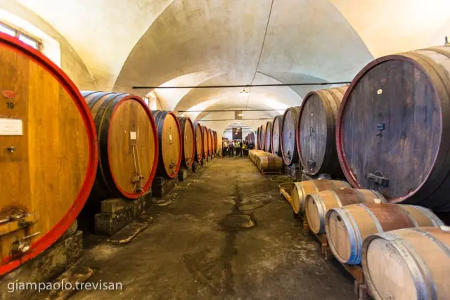 Guided tour and tasting