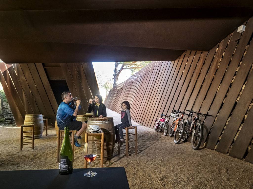 Guided tour and wine tasting