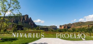 PALACIOS VINOS DE FINCA