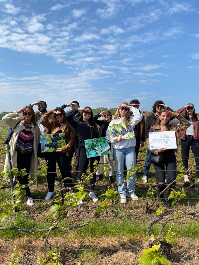 Oenologist’s Journey (Winemaking process)