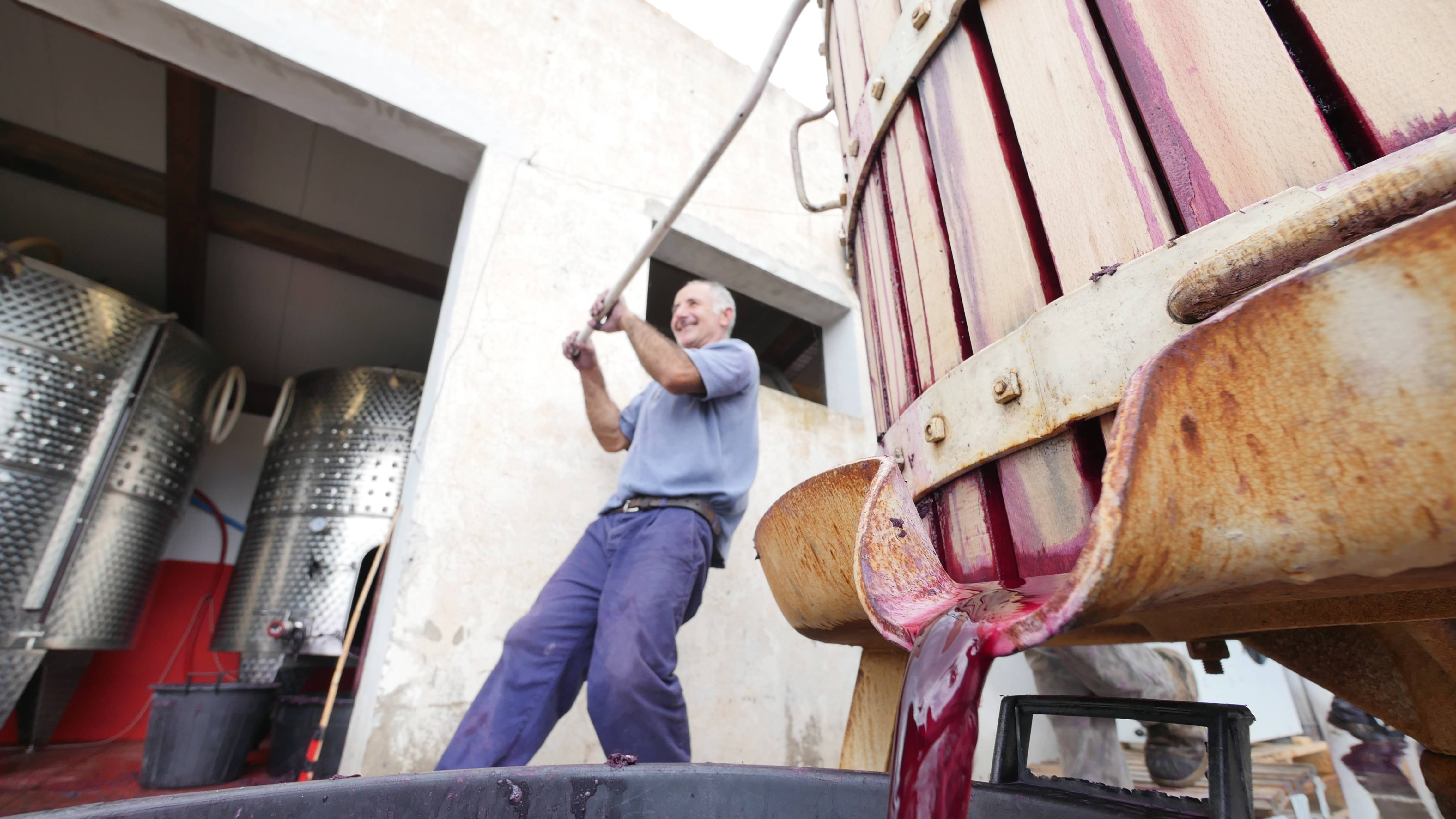Wine tasting in the cellar