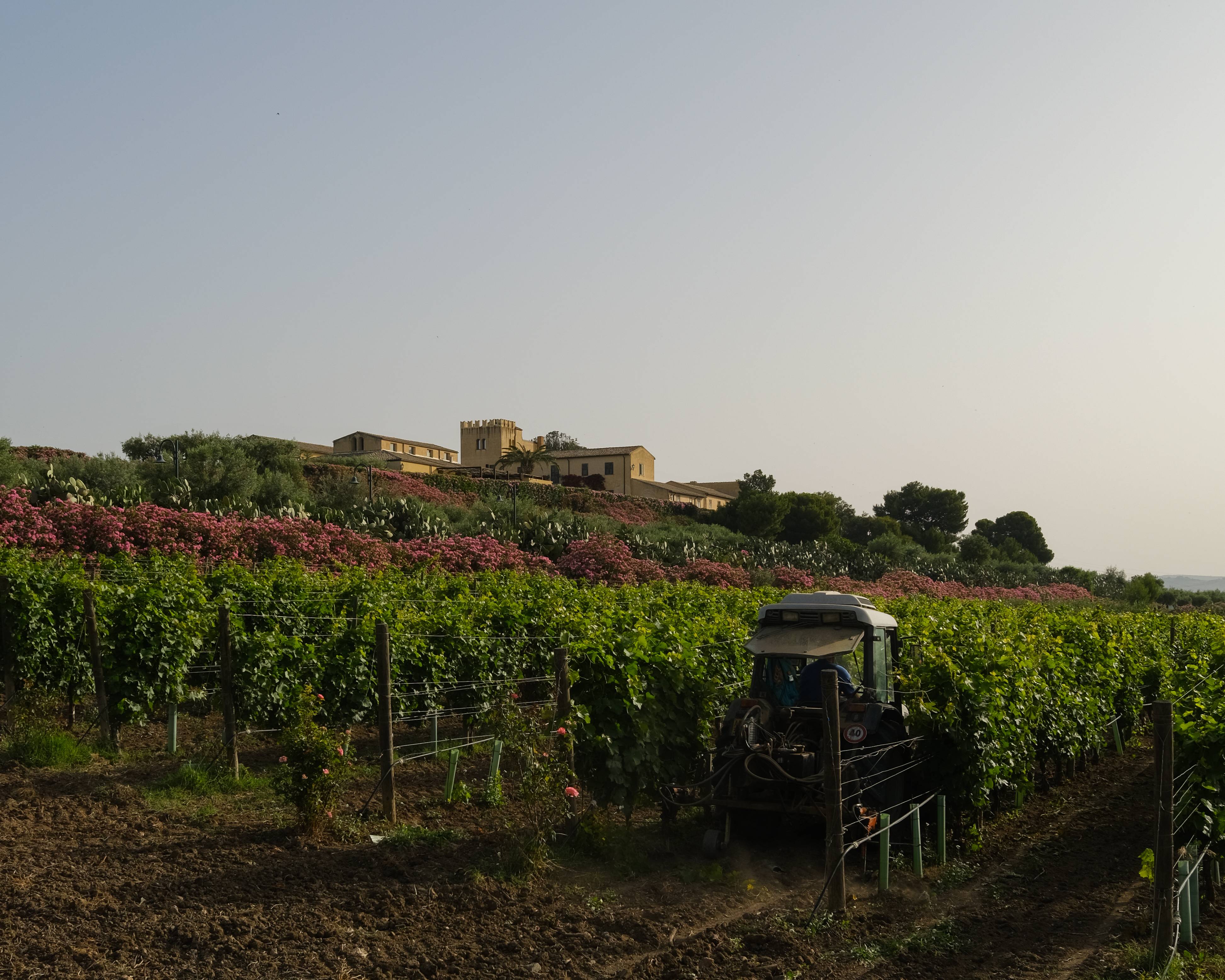 Sicilian Whims – the soft pairing