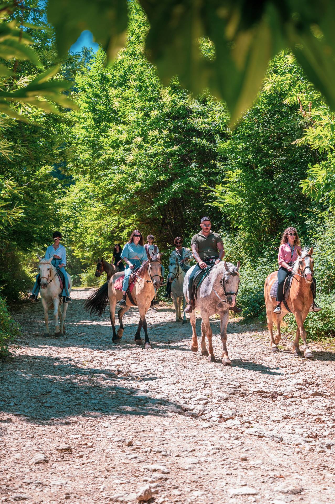 Horseback riding, tour and tasting