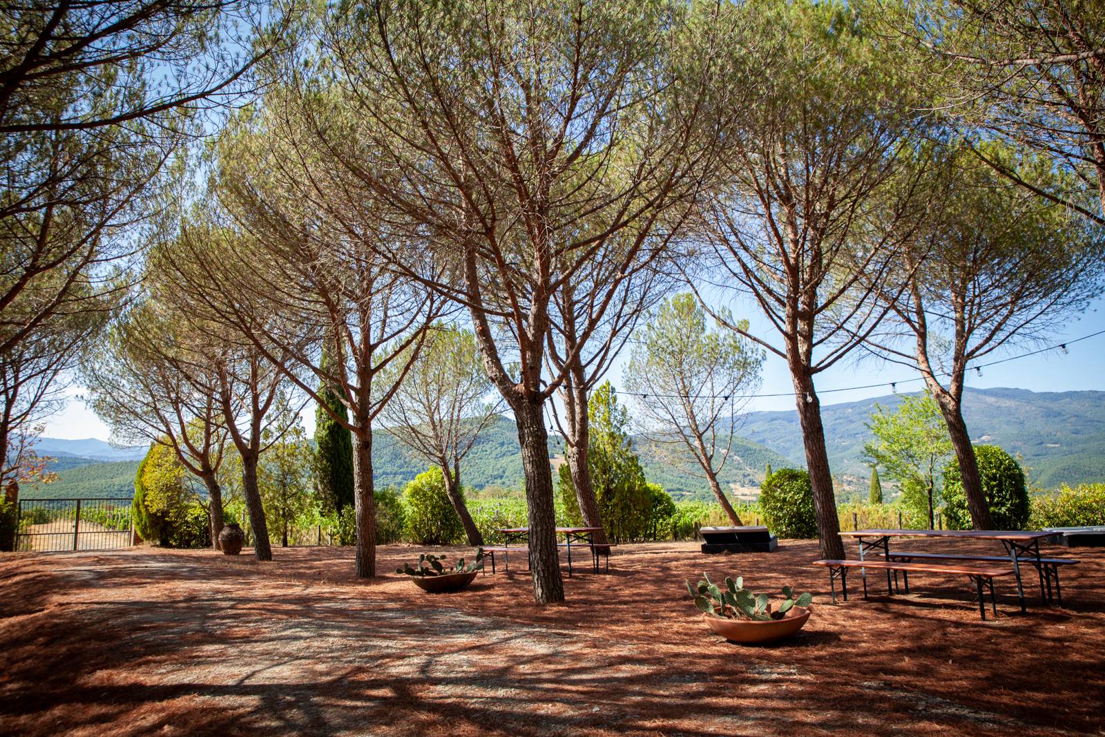 Tour & Tasting “The Selection”