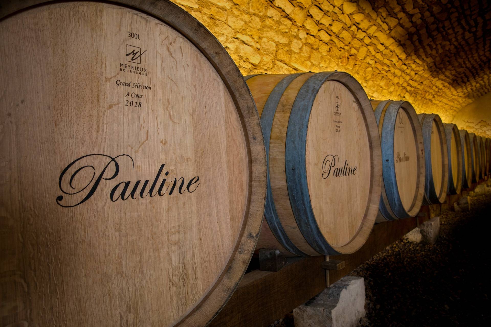 Cellar visit and tasting