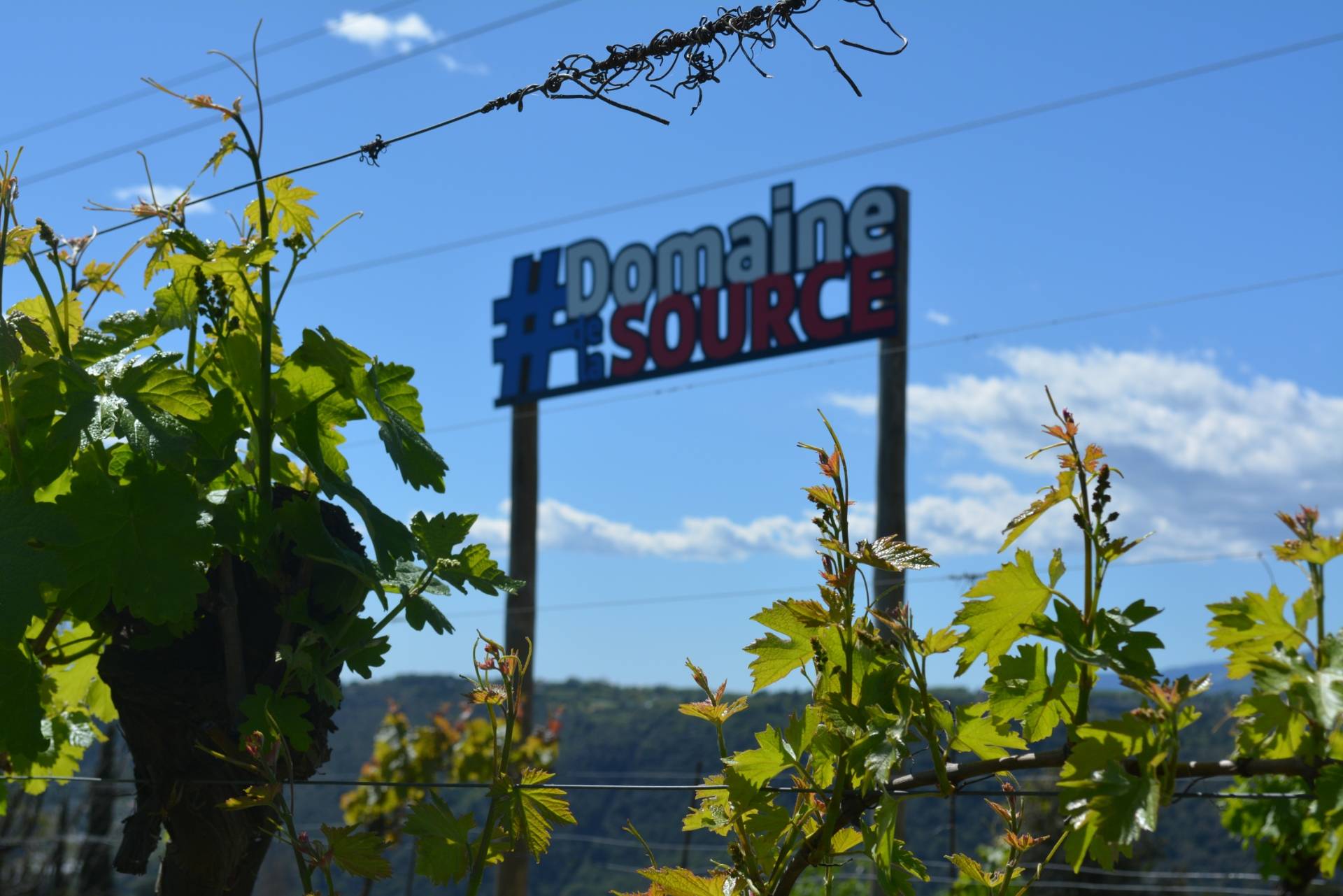 Passion formula (5 wines)