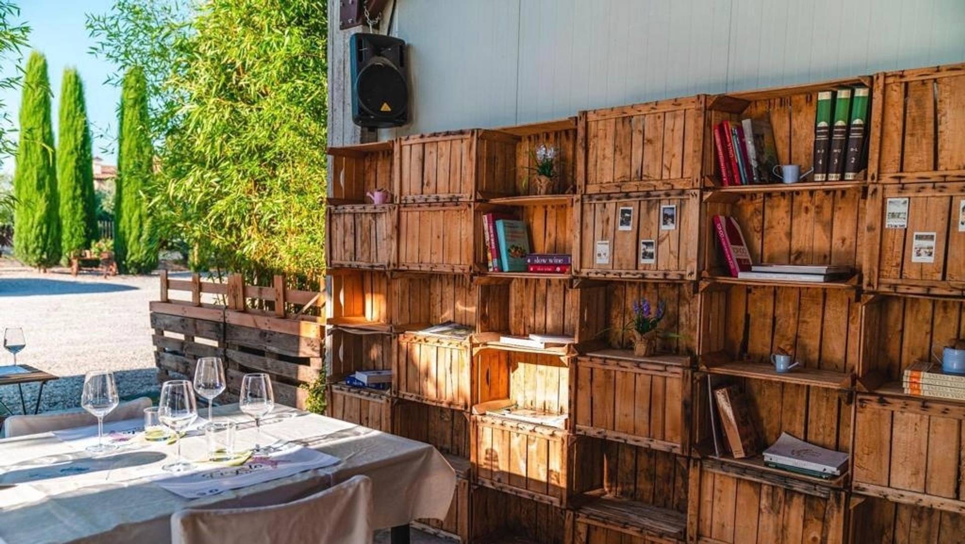 Path Among The Vineyards: Relaxation, Health And Freedom