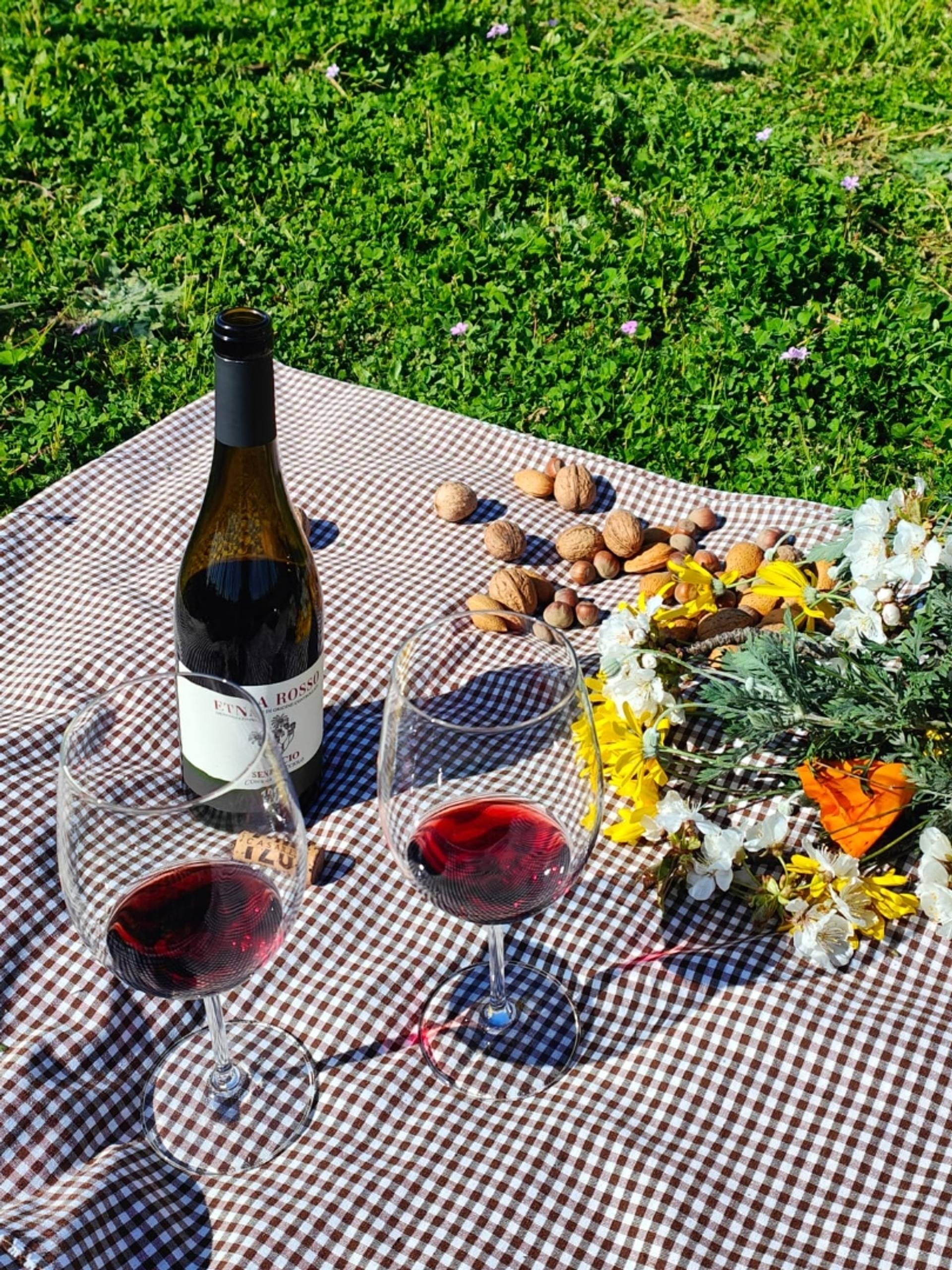 Casale 120 winery Picnic