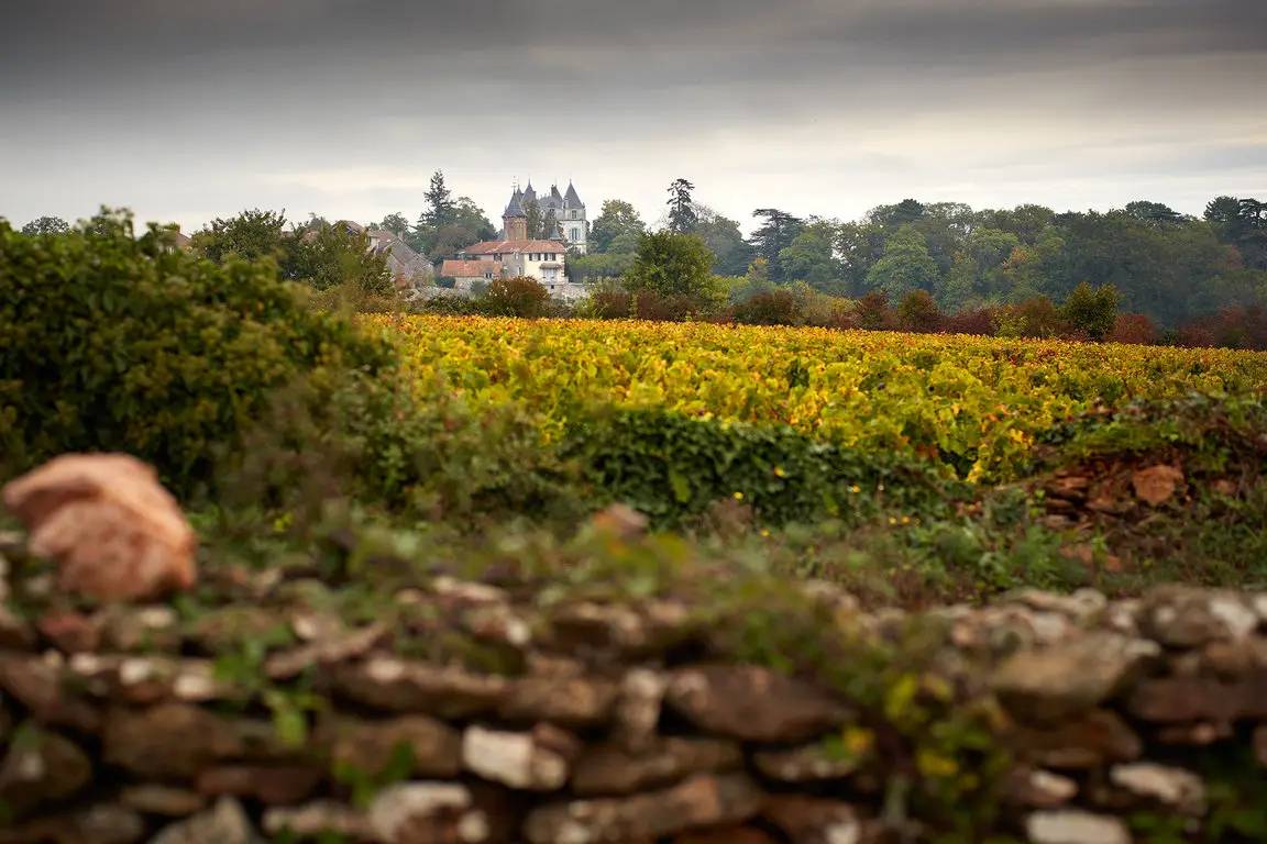 In the Heart of the Great Wines of the Côte Chalonnaise