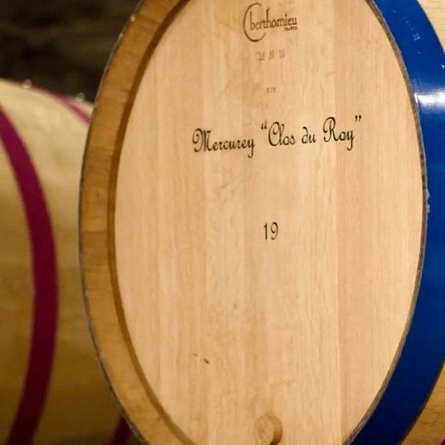 Discovery of the harvest and tasting