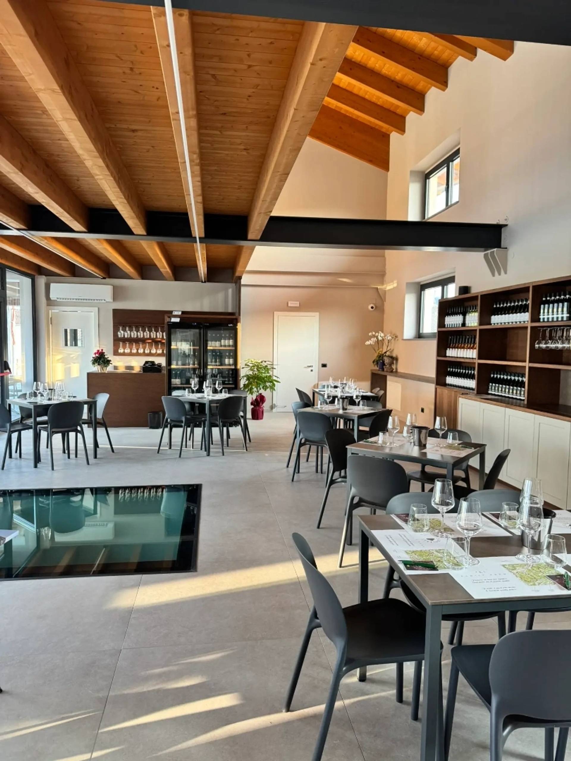 Cellar and Vineyard Tour – Food and Wine Pairing